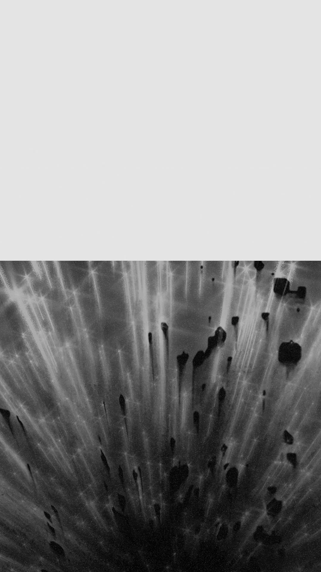 website promo back VERT.jpg