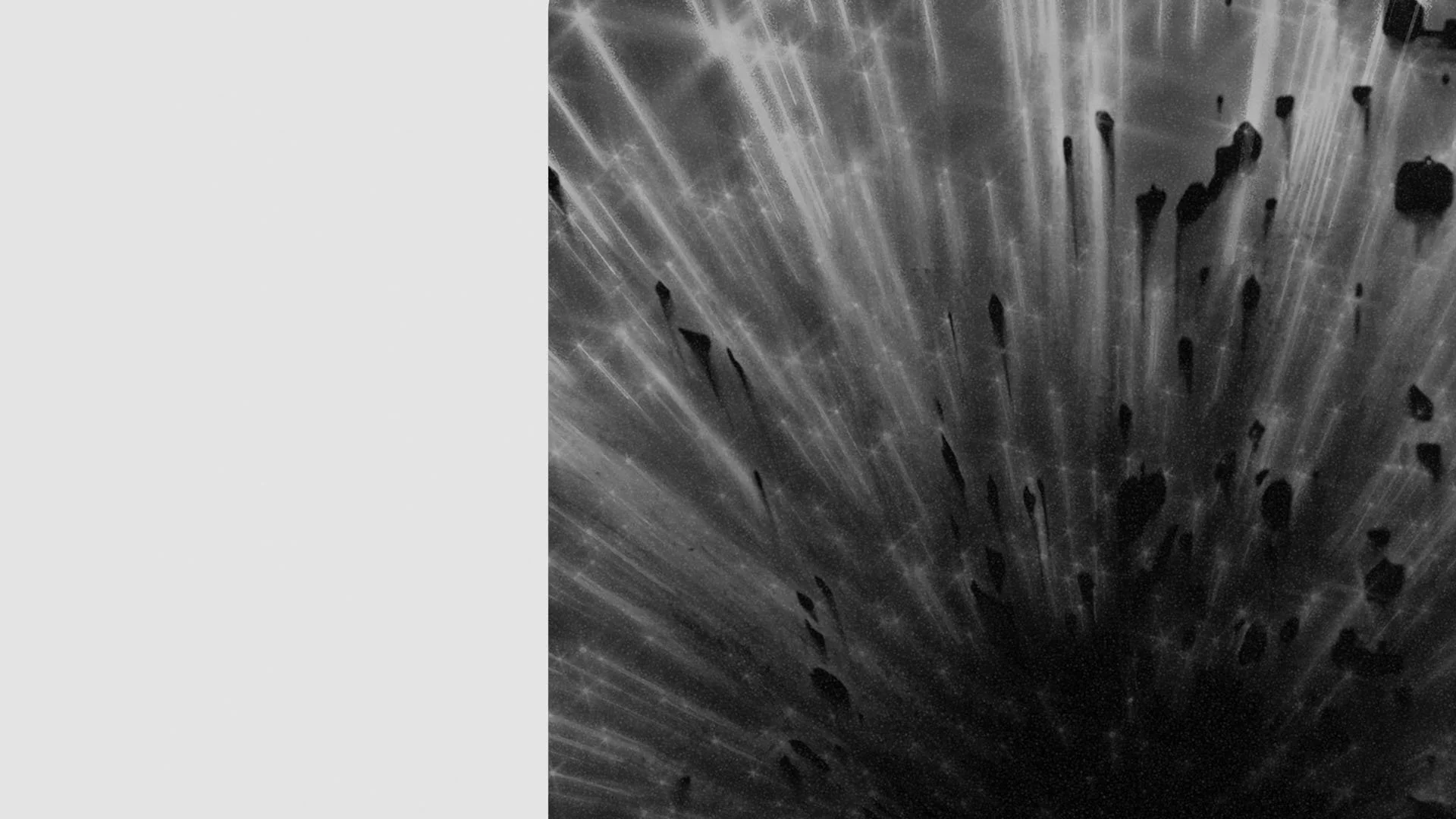 website promo back wide.jpg