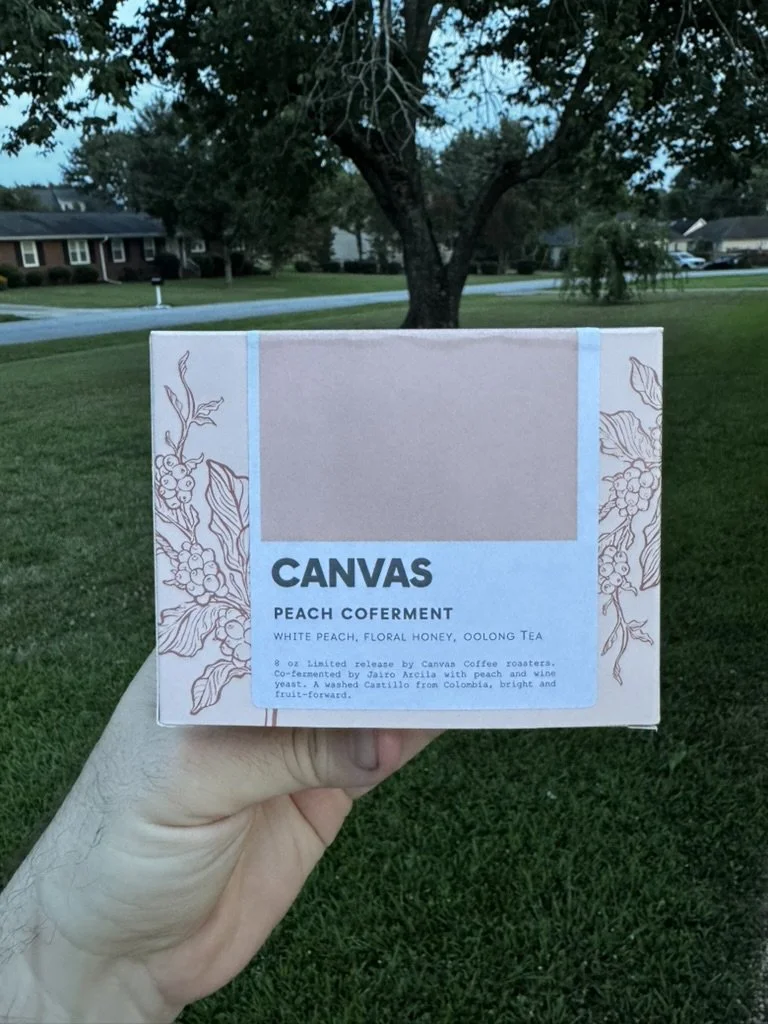 Person holding a box of Canvas Peach Coferment tea outdoors in a neighborhood, with trees and houses in the background.