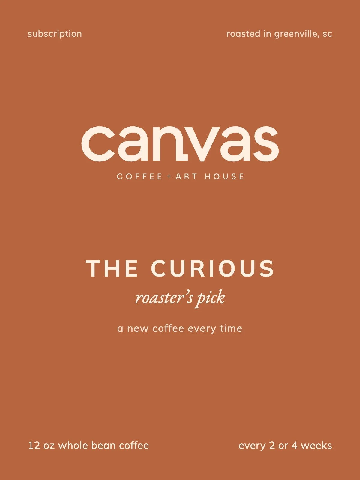 the-curious-canvas.jpg