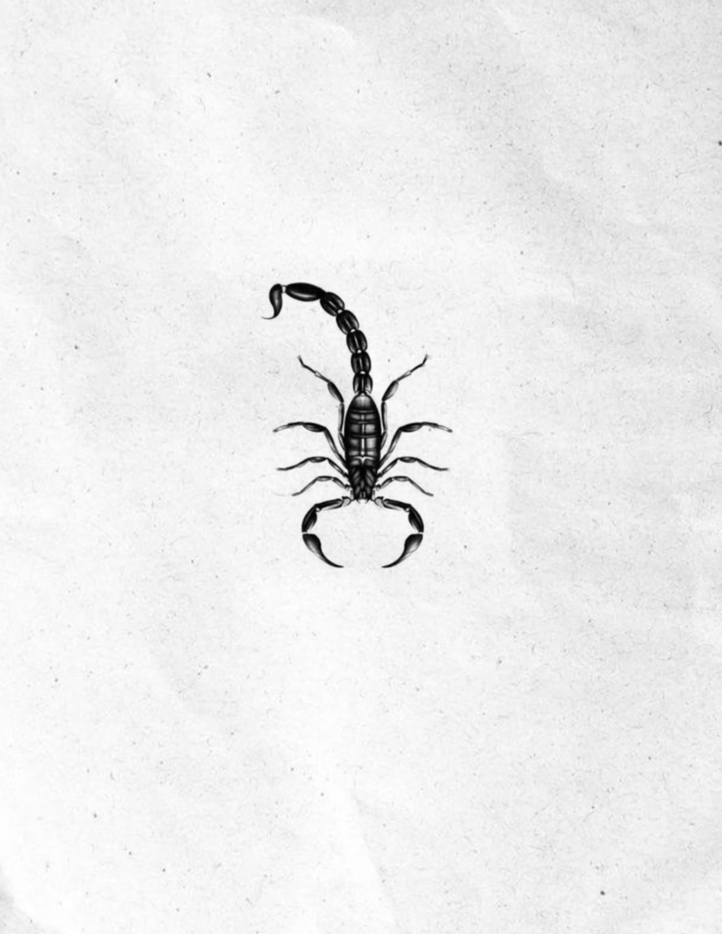 Untitled_Artwork 356.jpg