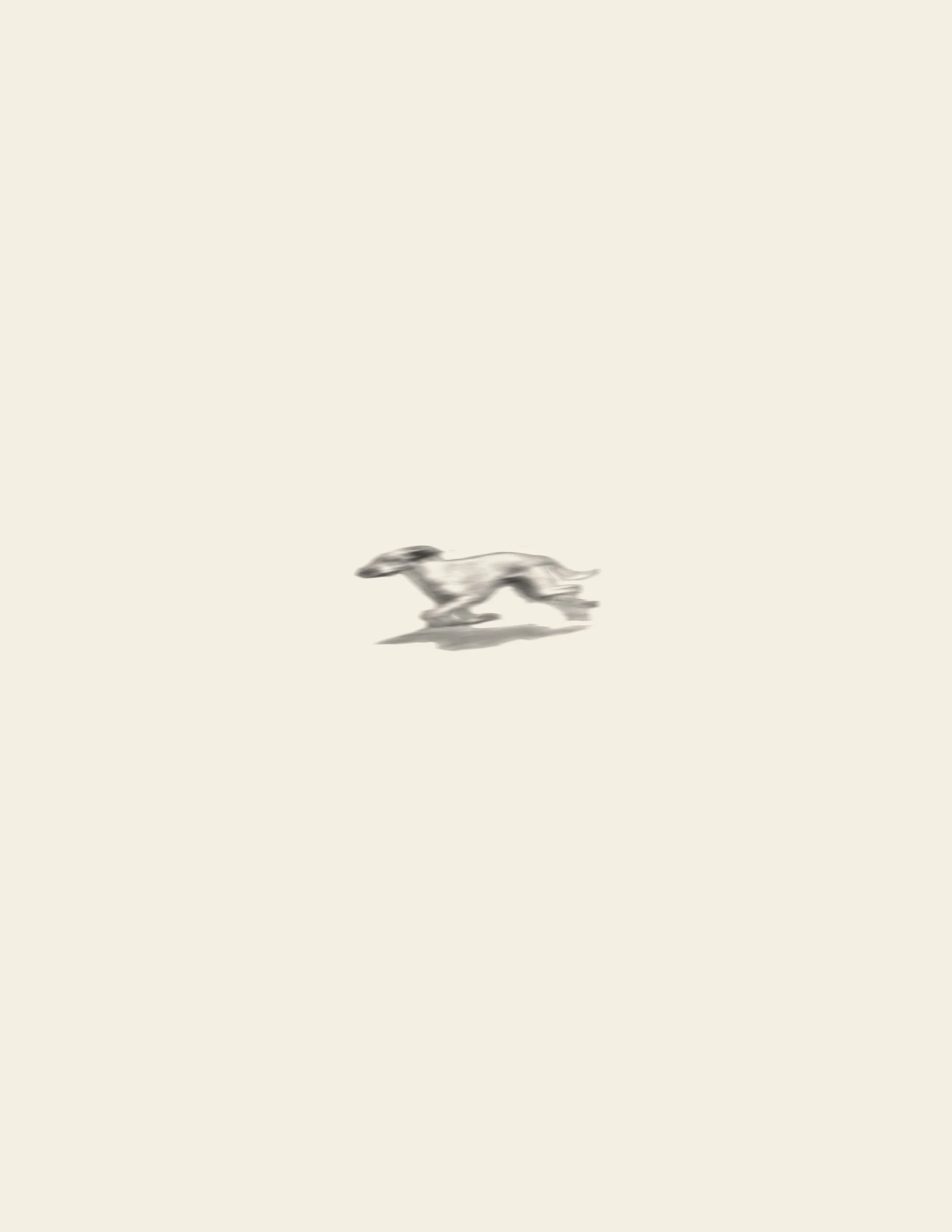 Running Dog | Summer 2026 Flash