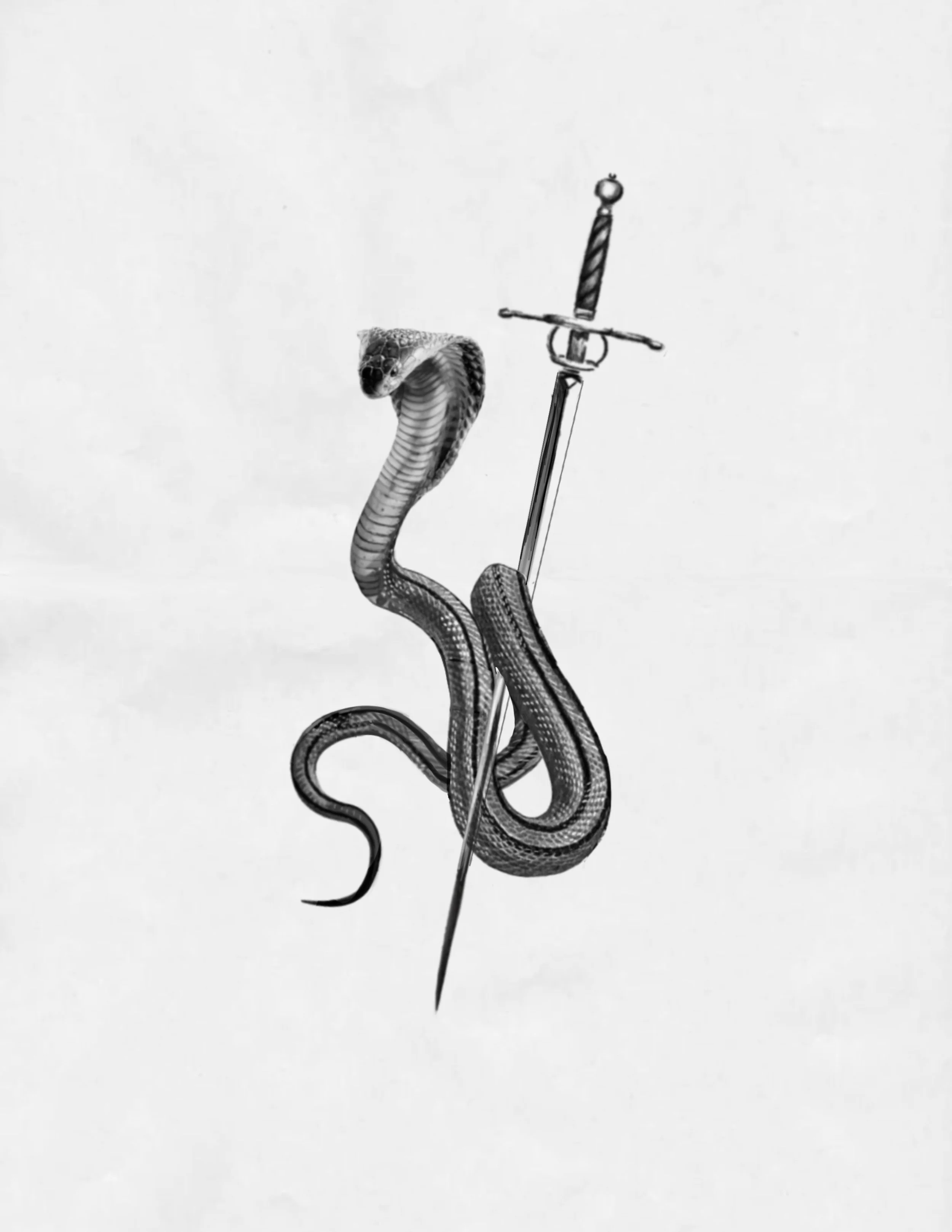 Untitled_Artwork 796.jpg