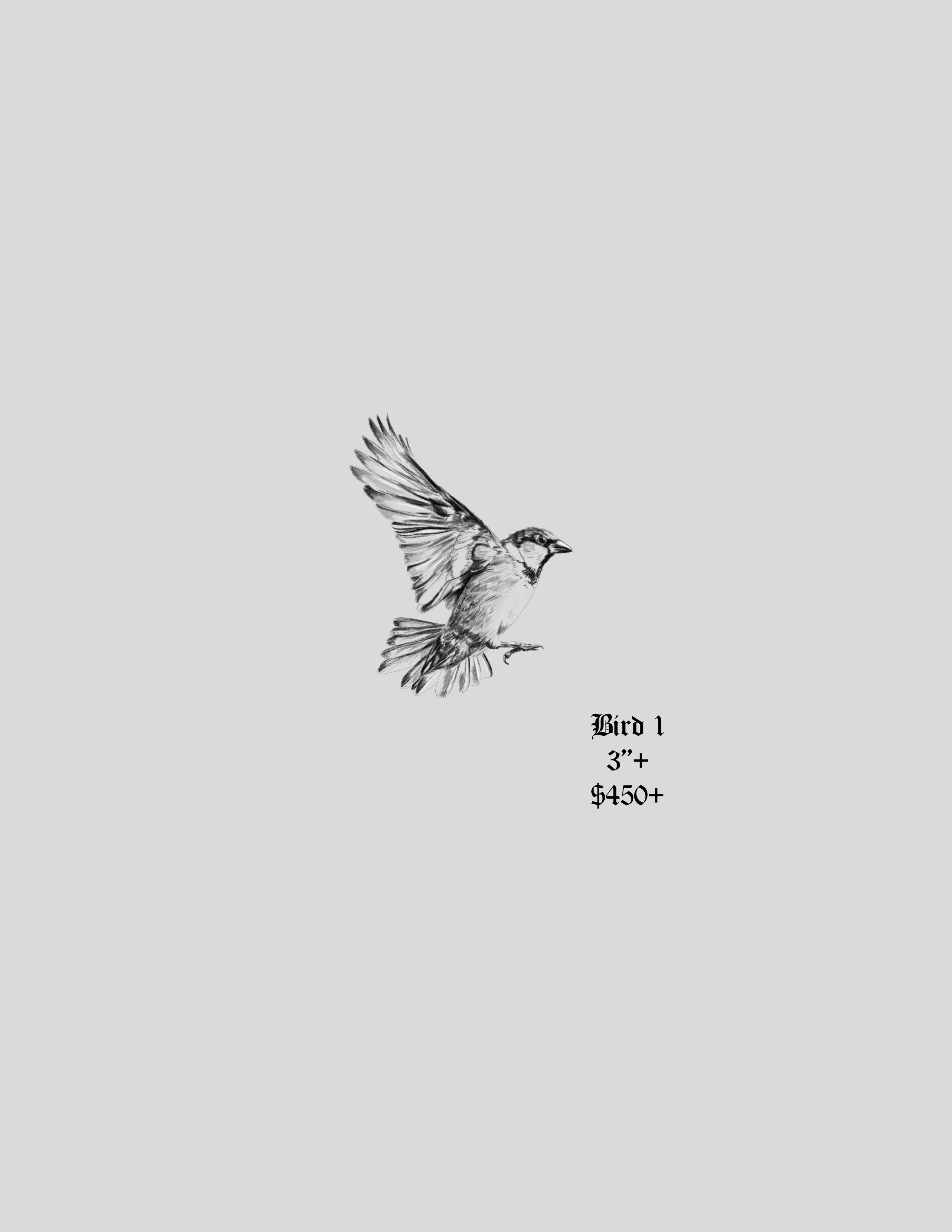 Bird 1 | The End Flash