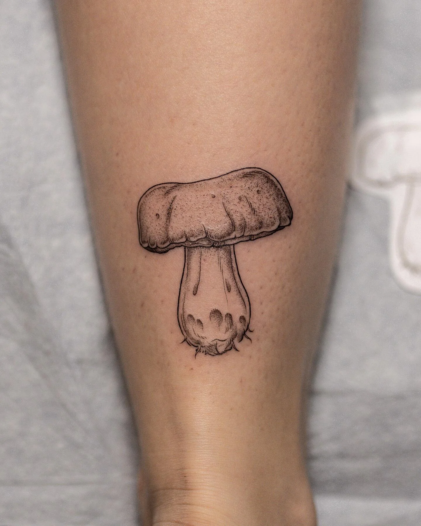 Bolete mushroom for Marissa! 🍄 
&bull;
&bull;
&bull;

#tattoo #tattooing #tattooartist #tattoos #art #drawing #tattooart #illustration #illustrativetattoo #floraltattoo #flashtattoo #qttr  #blackwork #tattooideas  #flowertattoo #botanicaltattoo #bot