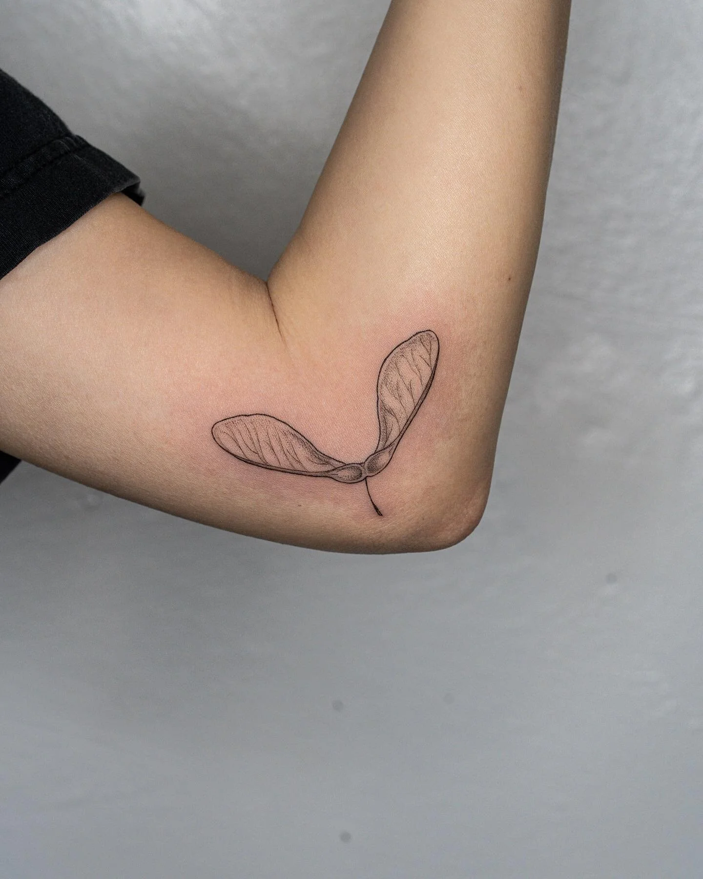 Maple seed for Yvonne! 
&bull;
&bull;
&bull;
#tattoo #tattooing #tattooartist #qttr #botanicaltattoo #floraltattoo #mapleseedtattoo #illustrativetattoo #lineworktattoo #finelinetattoo