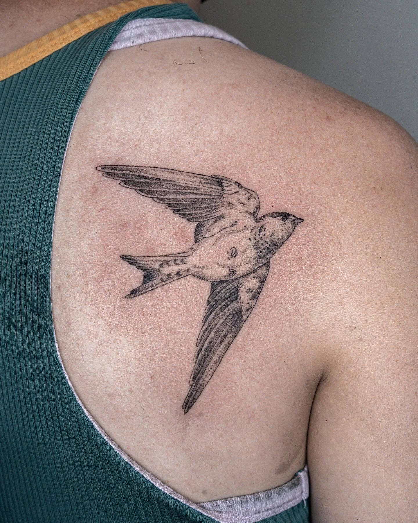 Swallow for Andrew! 
&bull;
&bull;
&bull;
#tattoo #tattooing #tattooartist #tattoos #art #drawing #tattooart #illustration #illustrativetattoo #flashtattoo #qttr  #tattooideas  #swallowtattoo #birdtattoo #tattoostyle