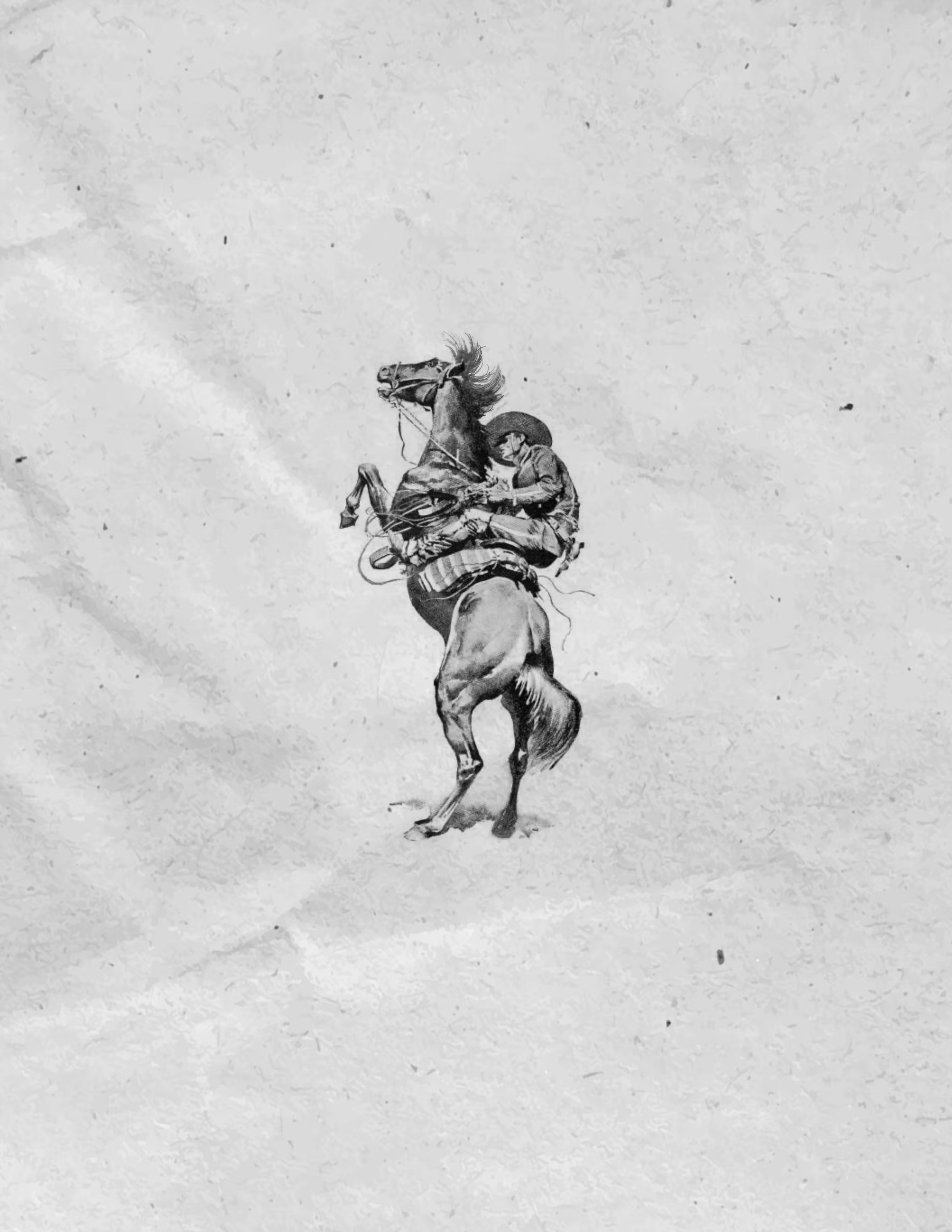 Bucking Horse | Western Flash