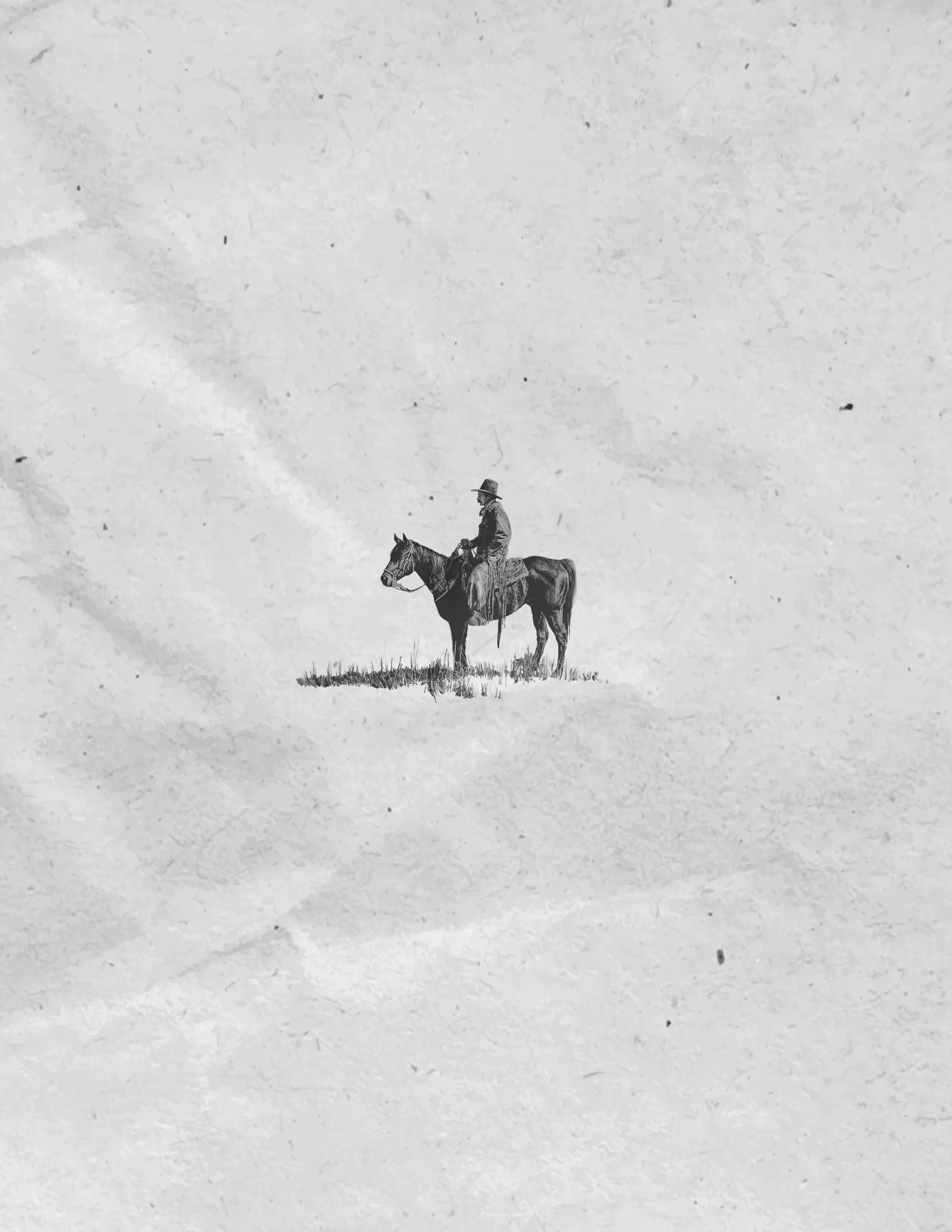 Lonesome Cowboy 2 | Western Flash