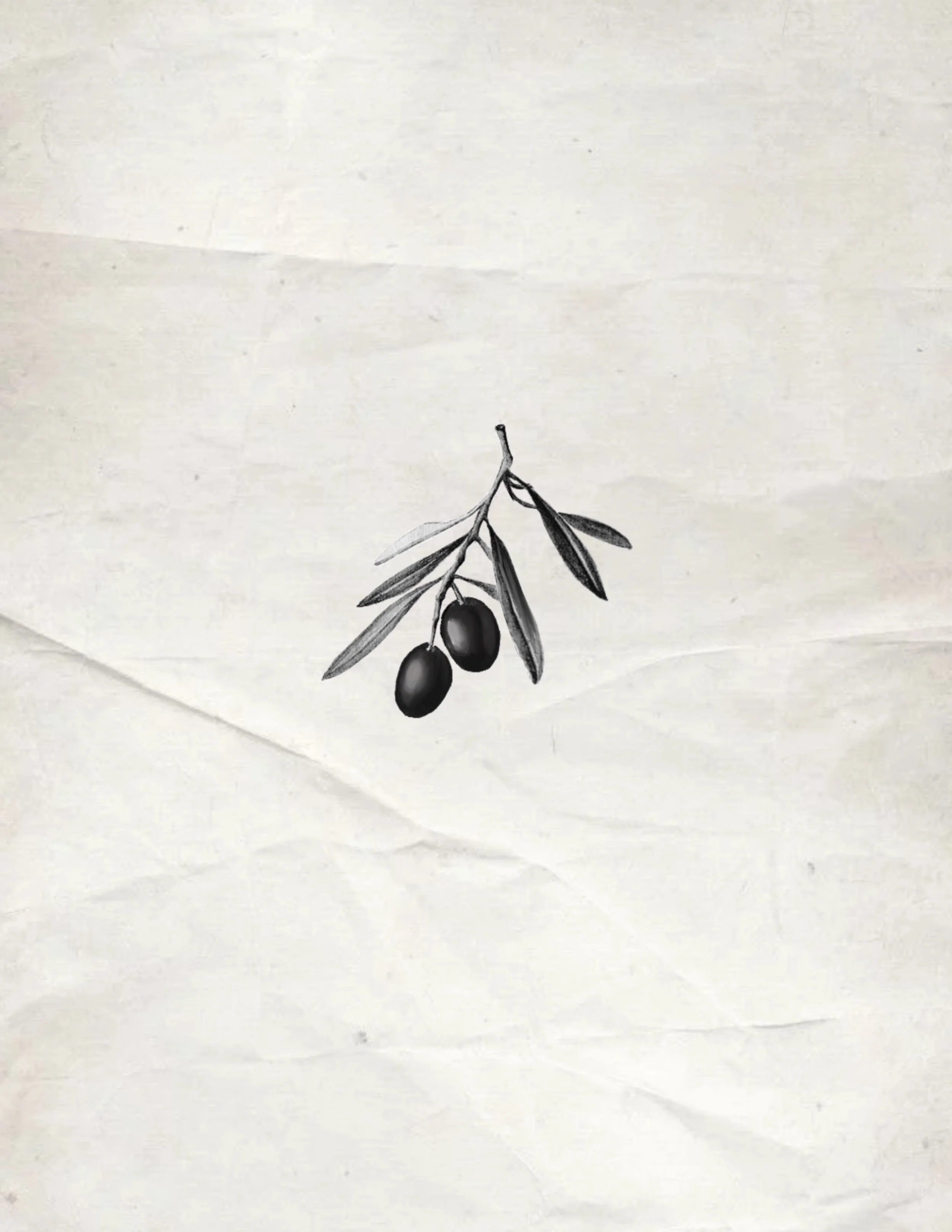 Olive | Entropy Flash