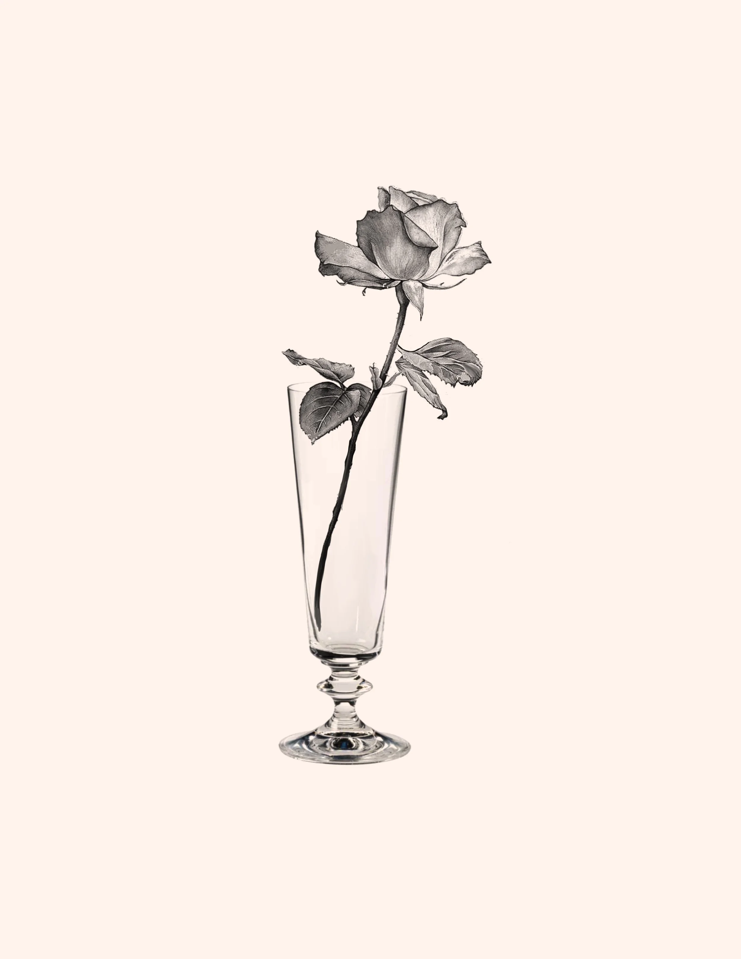 Untitled_Artwork 264.jpg