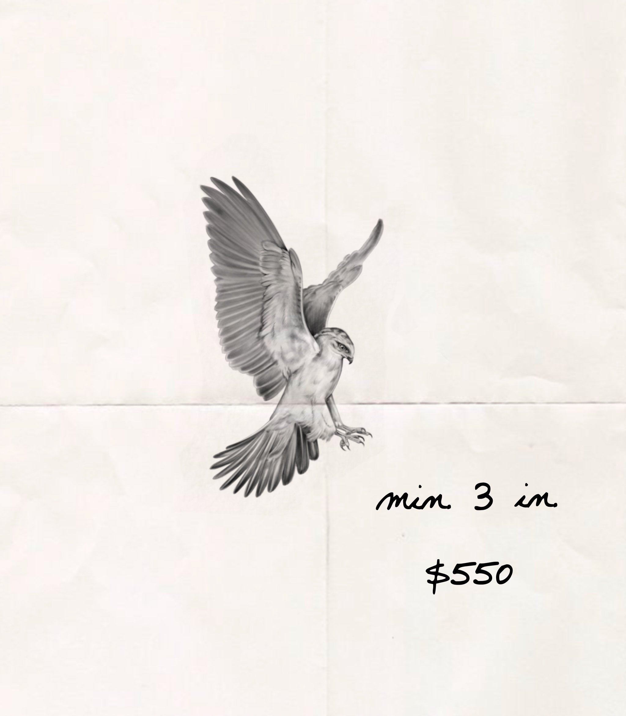 Romance flash- Hawk