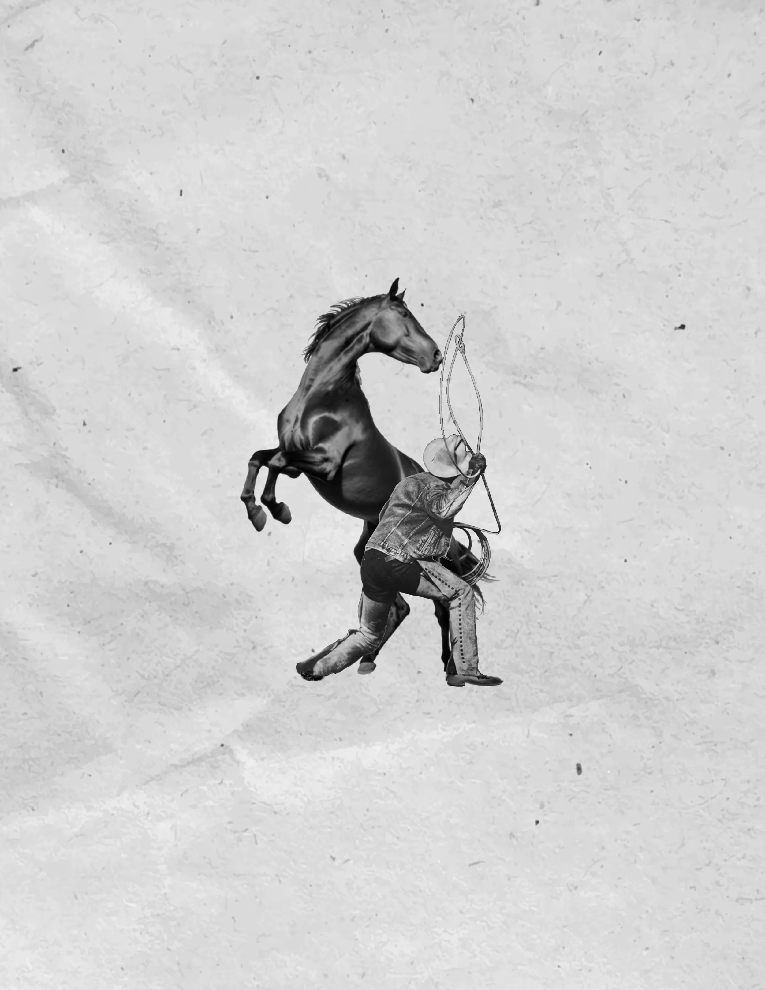 Cowboy/Horse | Western Flash