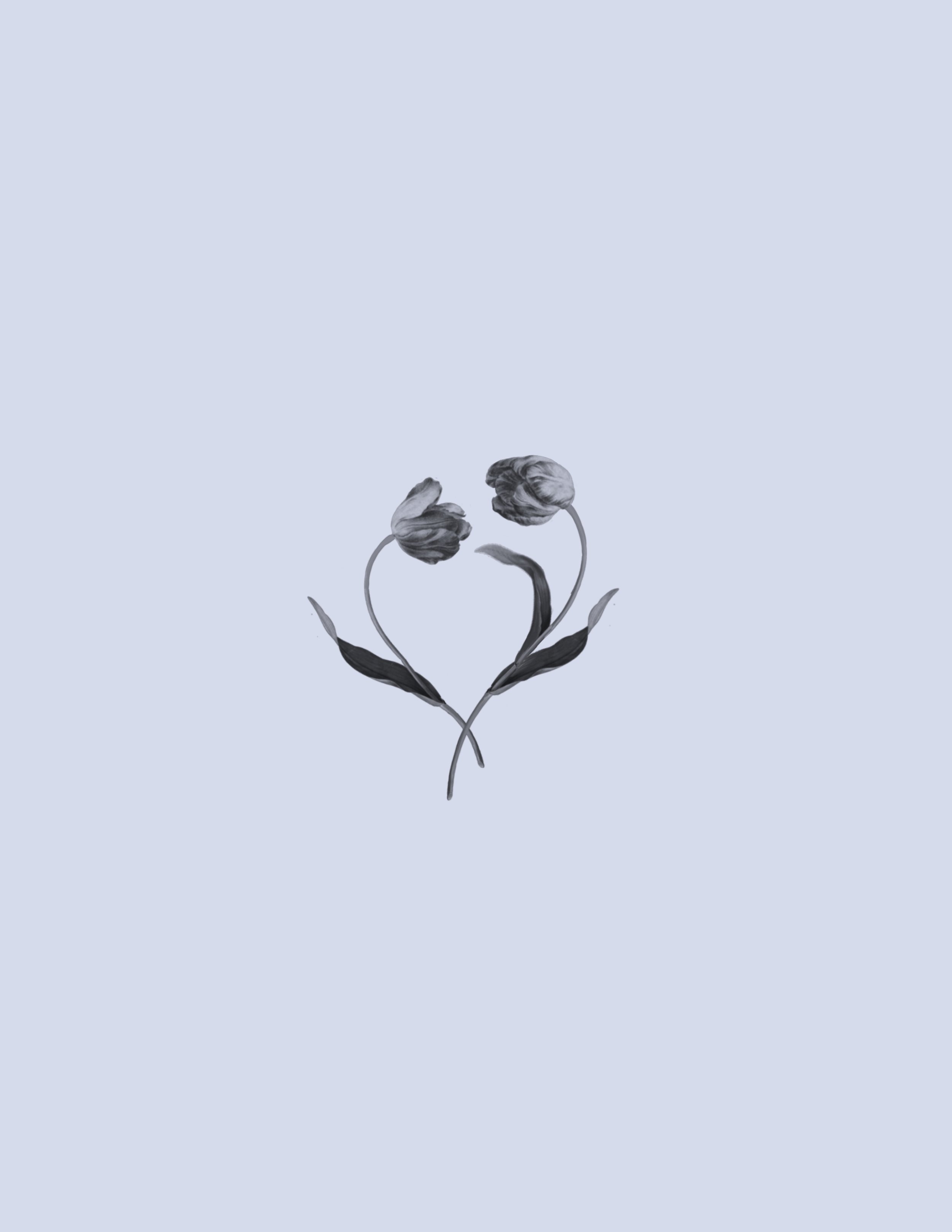 Untitled_Artwork 421.jpg