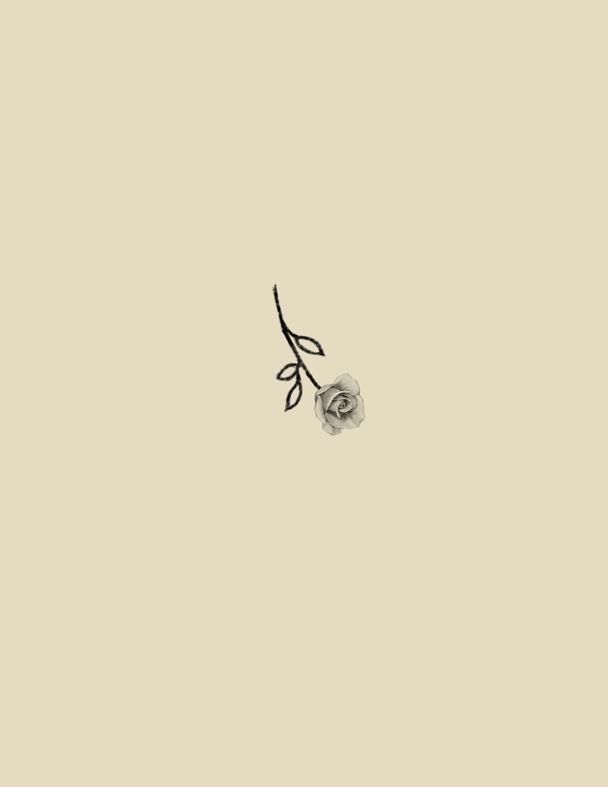 Falling Rose | Farewell Flash