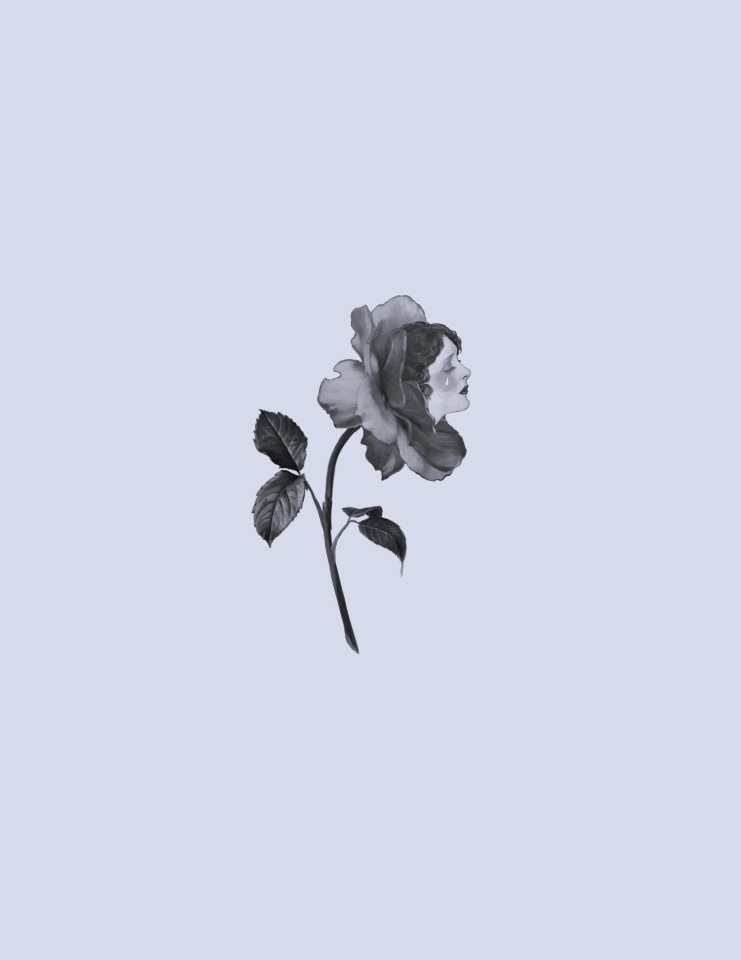 Untitled_Artwork 414.jpg
