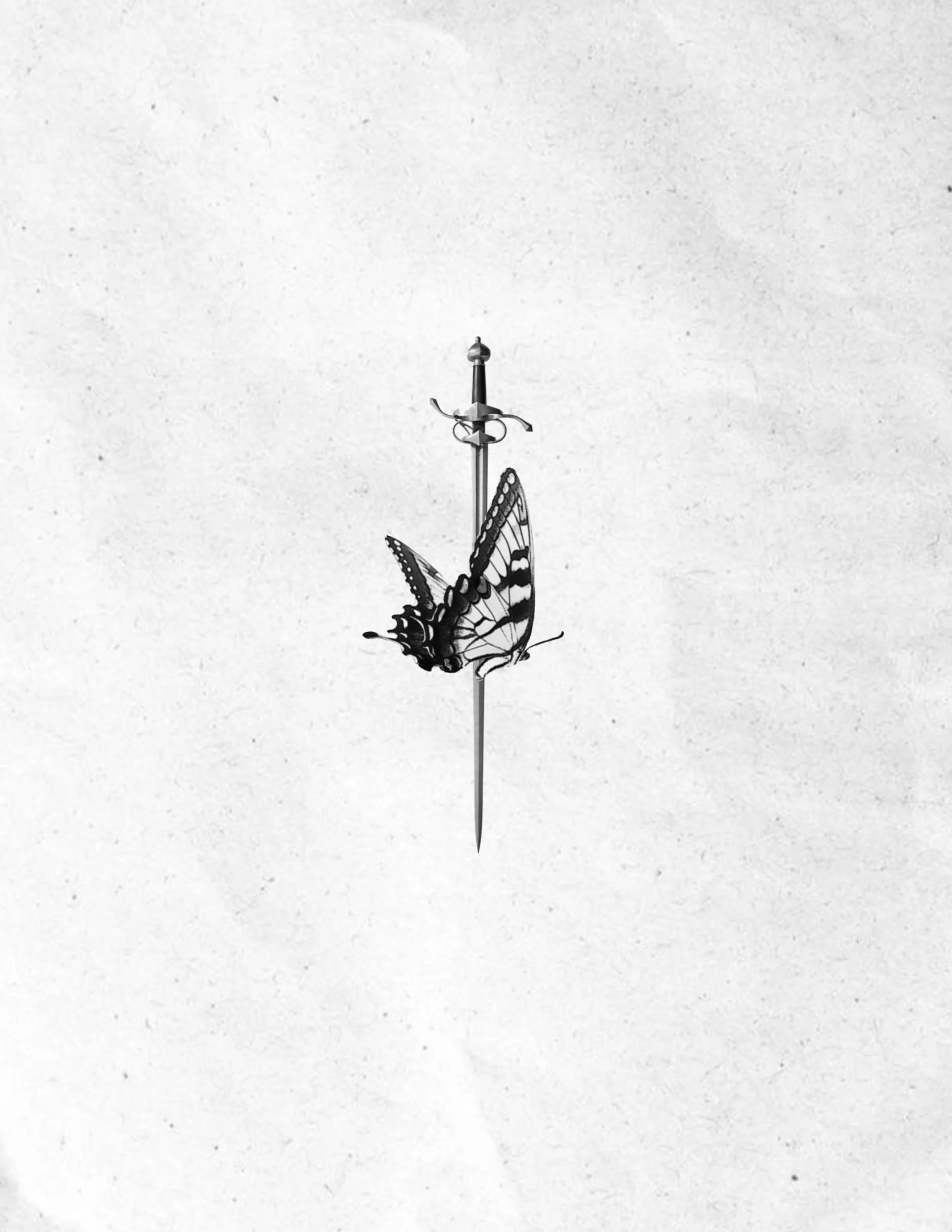 Untitled_Artwork 355.jpg