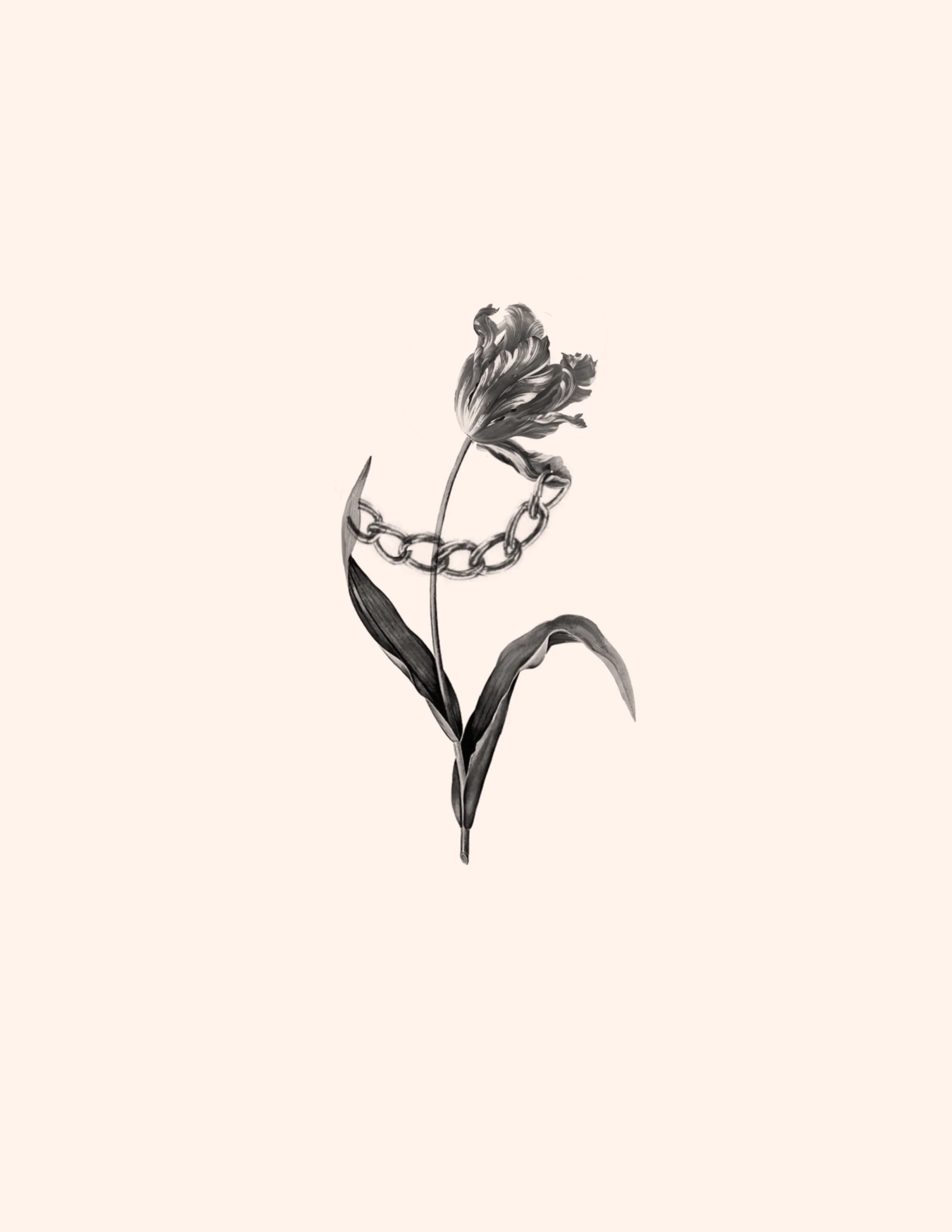 Untitled_Artwork 262.jpg
