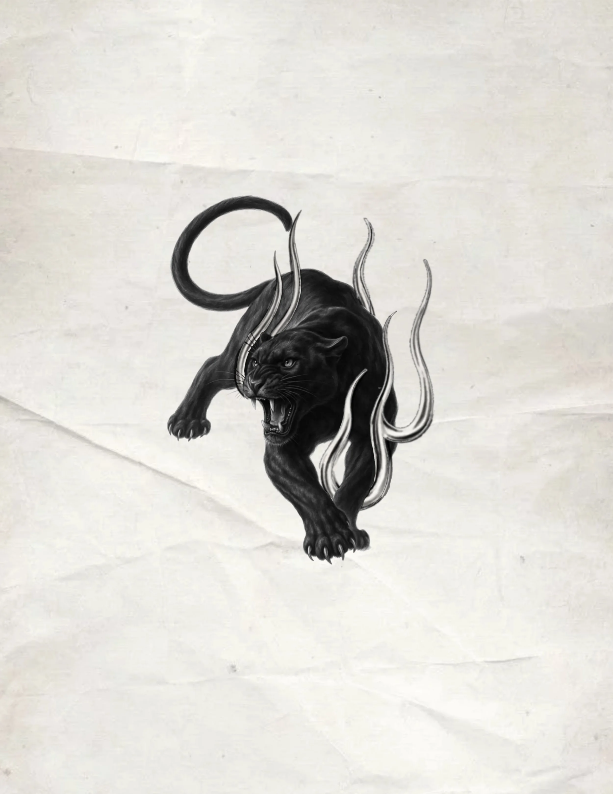 Panther | Entropy Flash