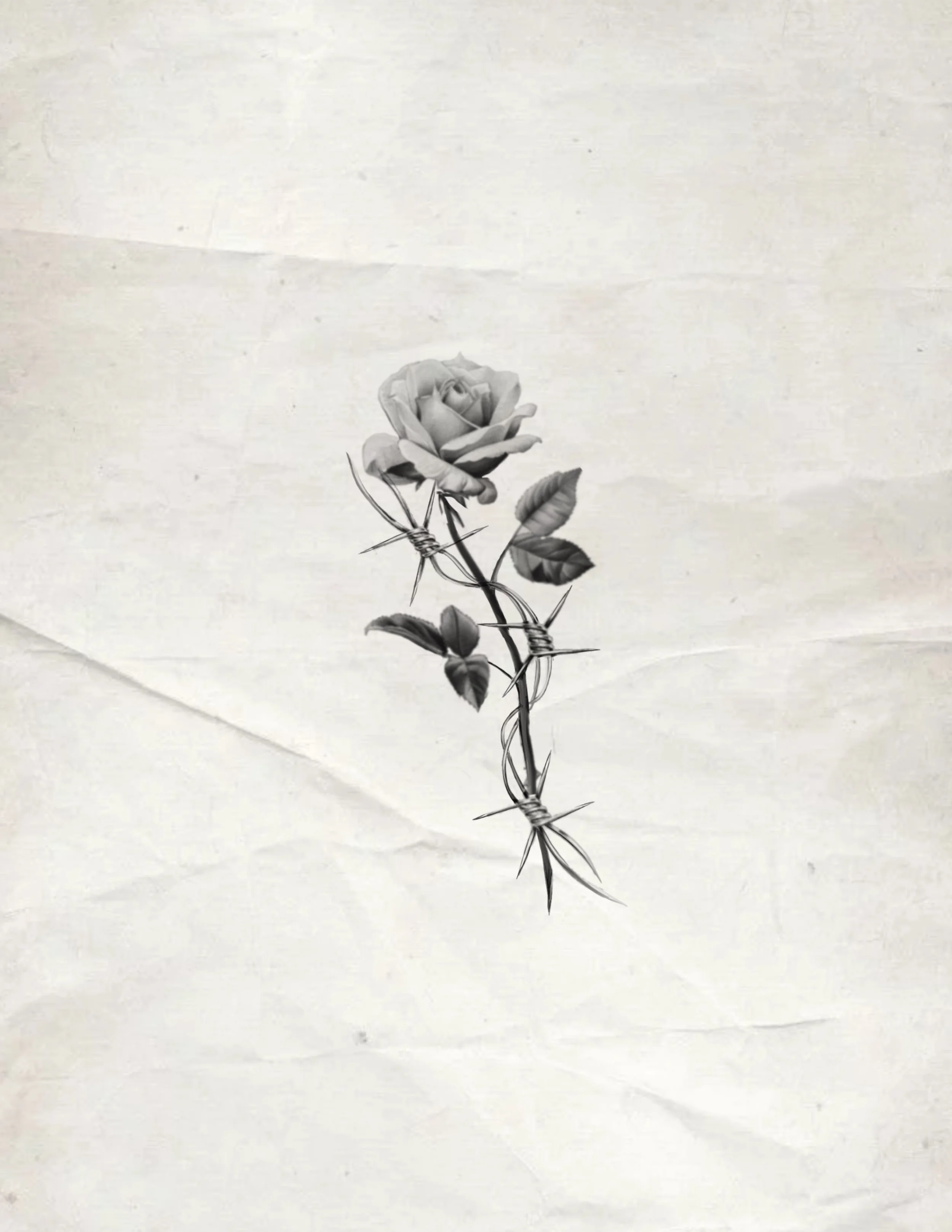 Untitled_Artwork 351.jpg