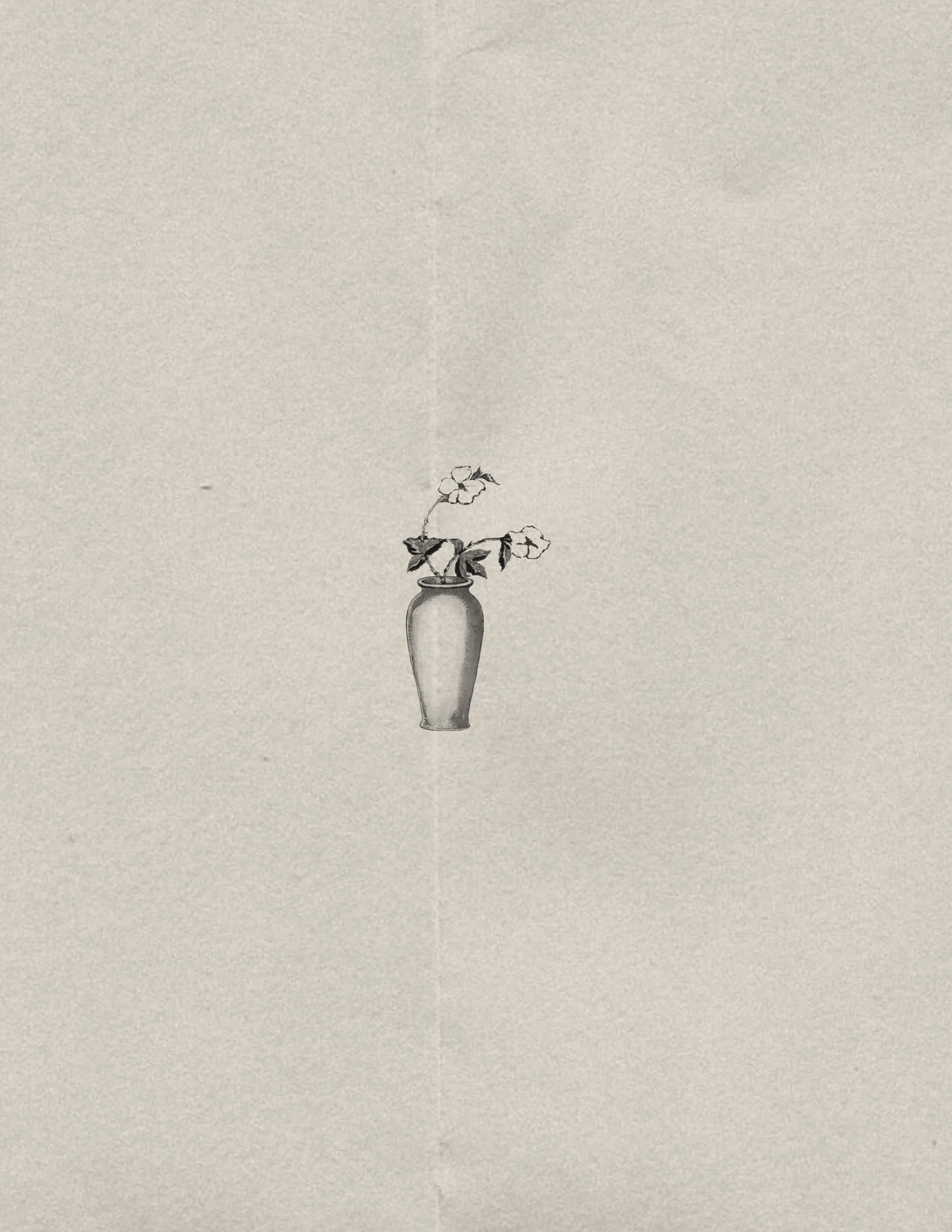 Untitled_Artwork 569.jpg