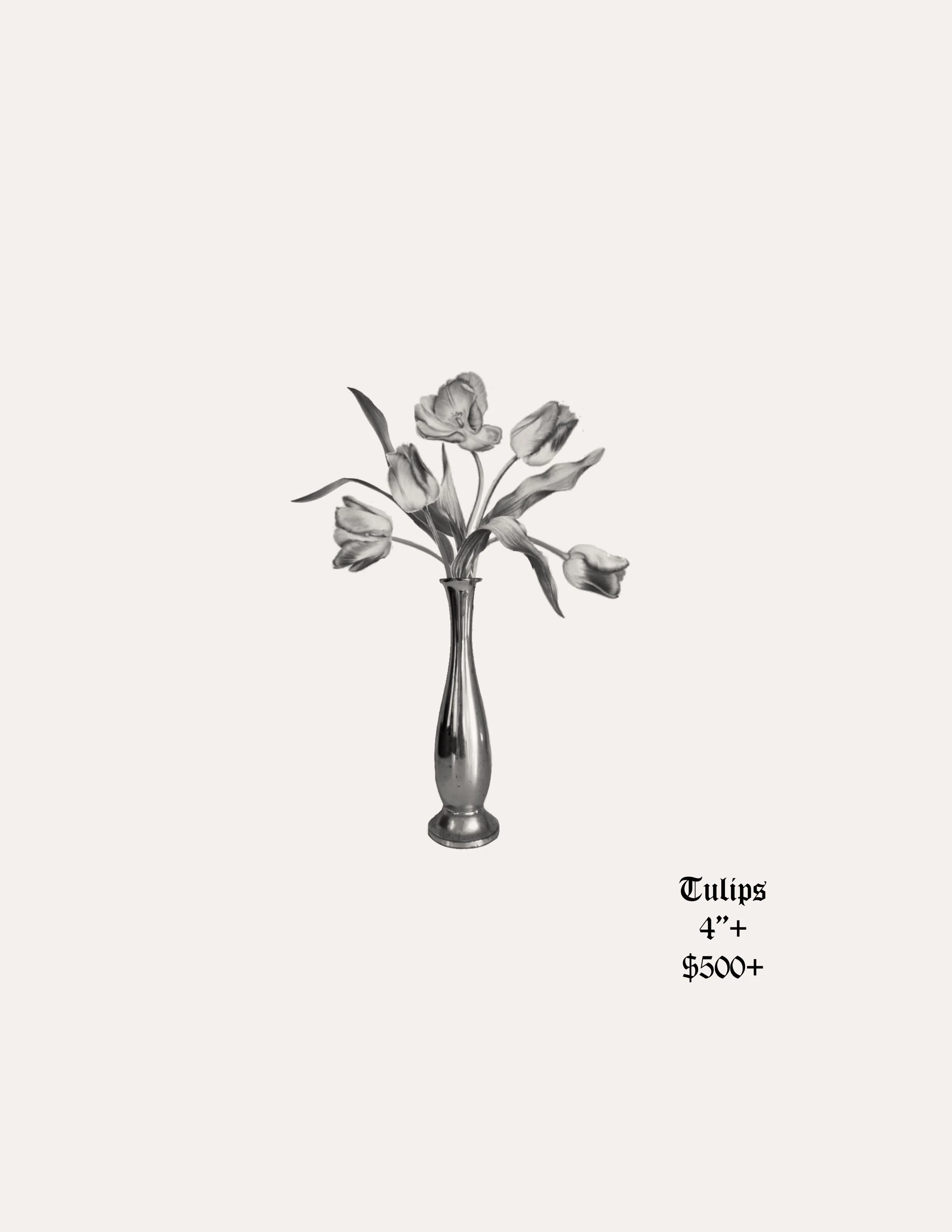 Tulips | Tiger Flash