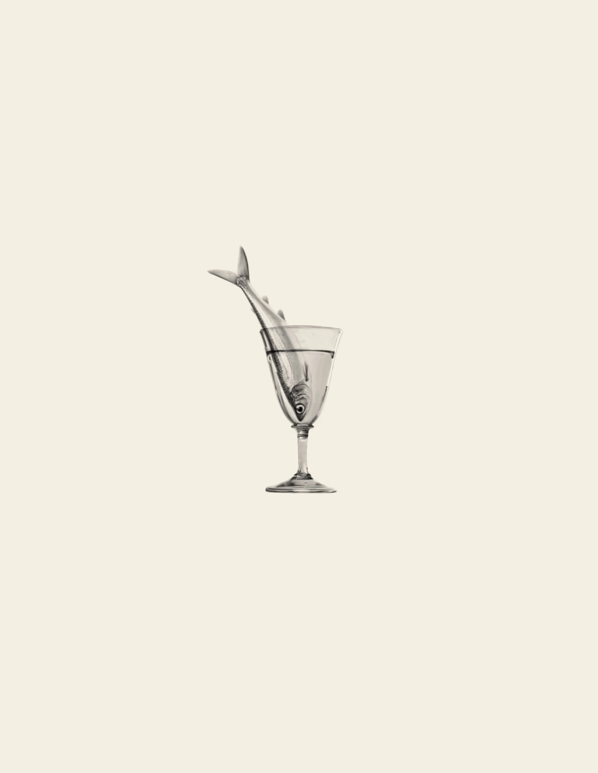Sardine in Glass | Summer 2026 Flash