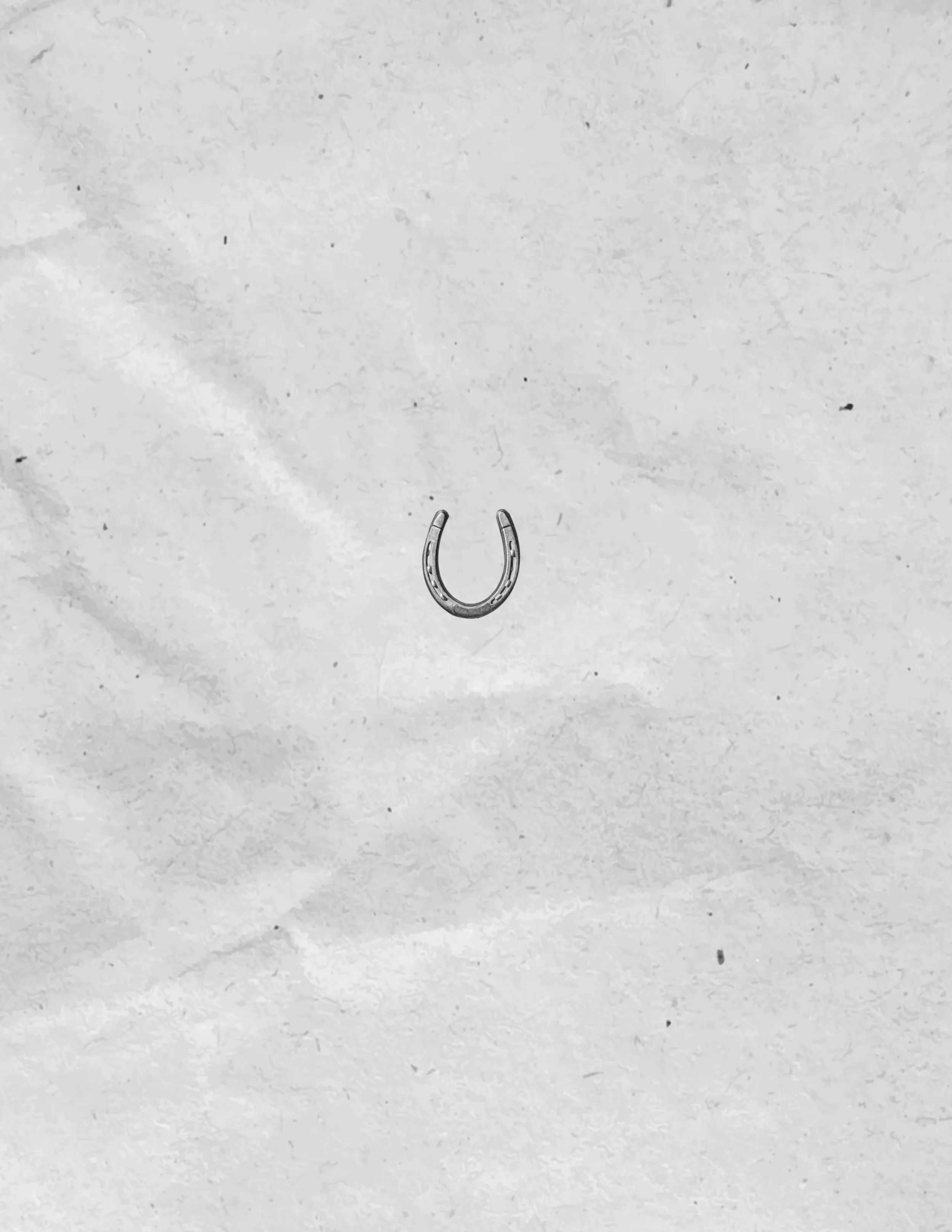 Untitled_Artwork 4777.JPG