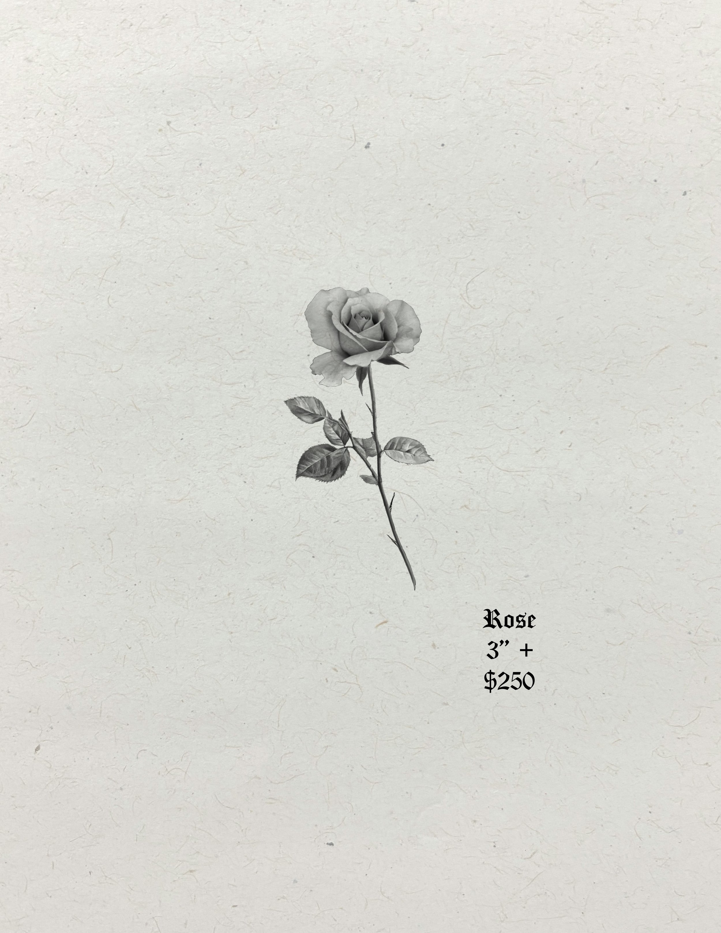 Untitled_Artwork 4904.jpg