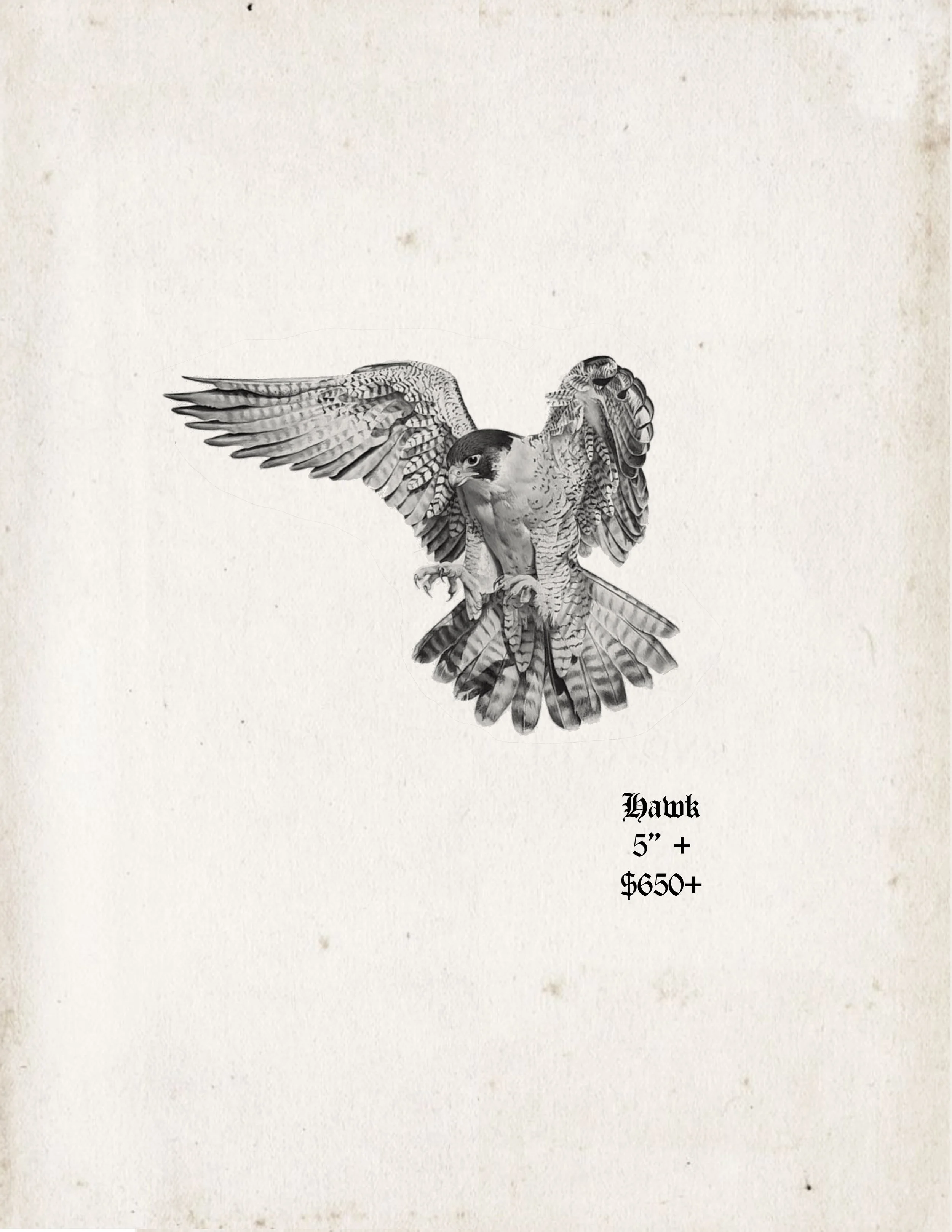 Untitled_Artwork 5119.jpg