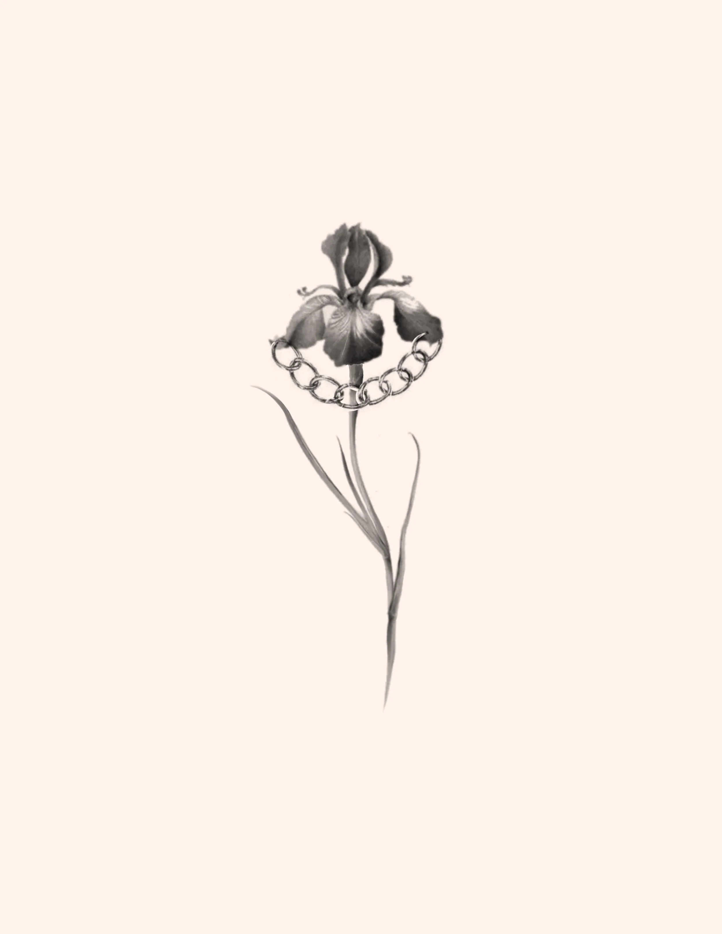 Untitled_Artwork 263.jpg