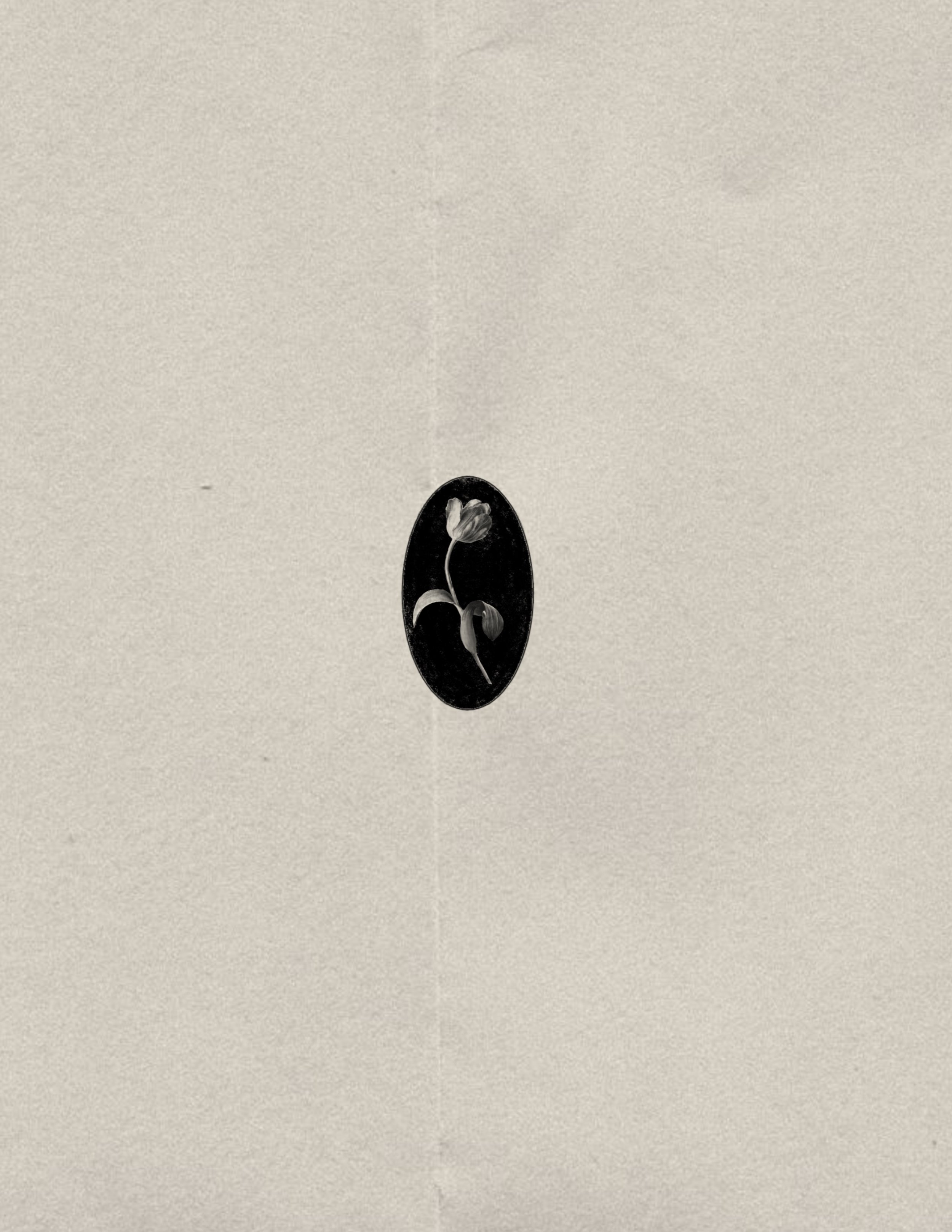 Untitled_Artwork 568.jpg
