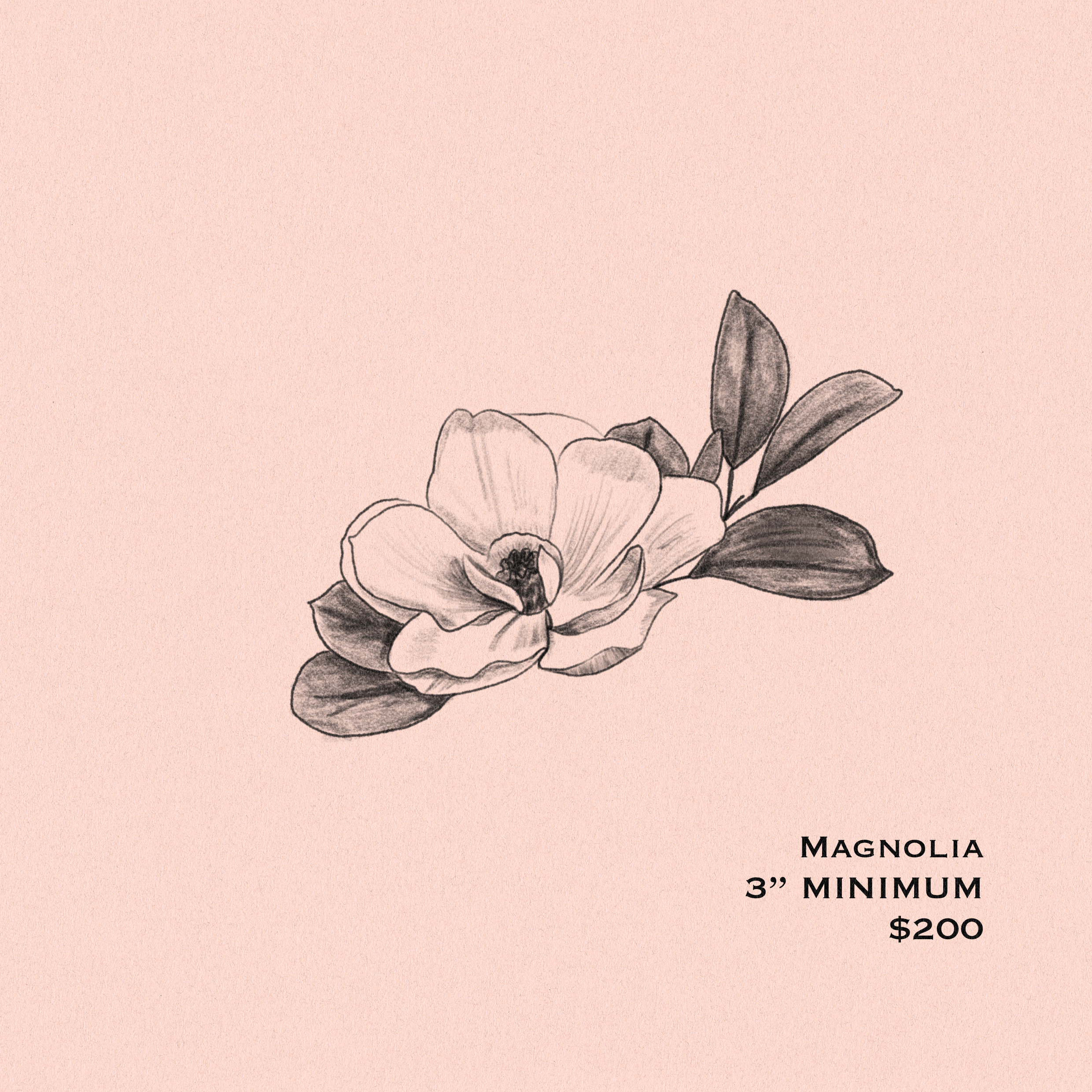 Magnolia-- Valentine's 2025 Flash