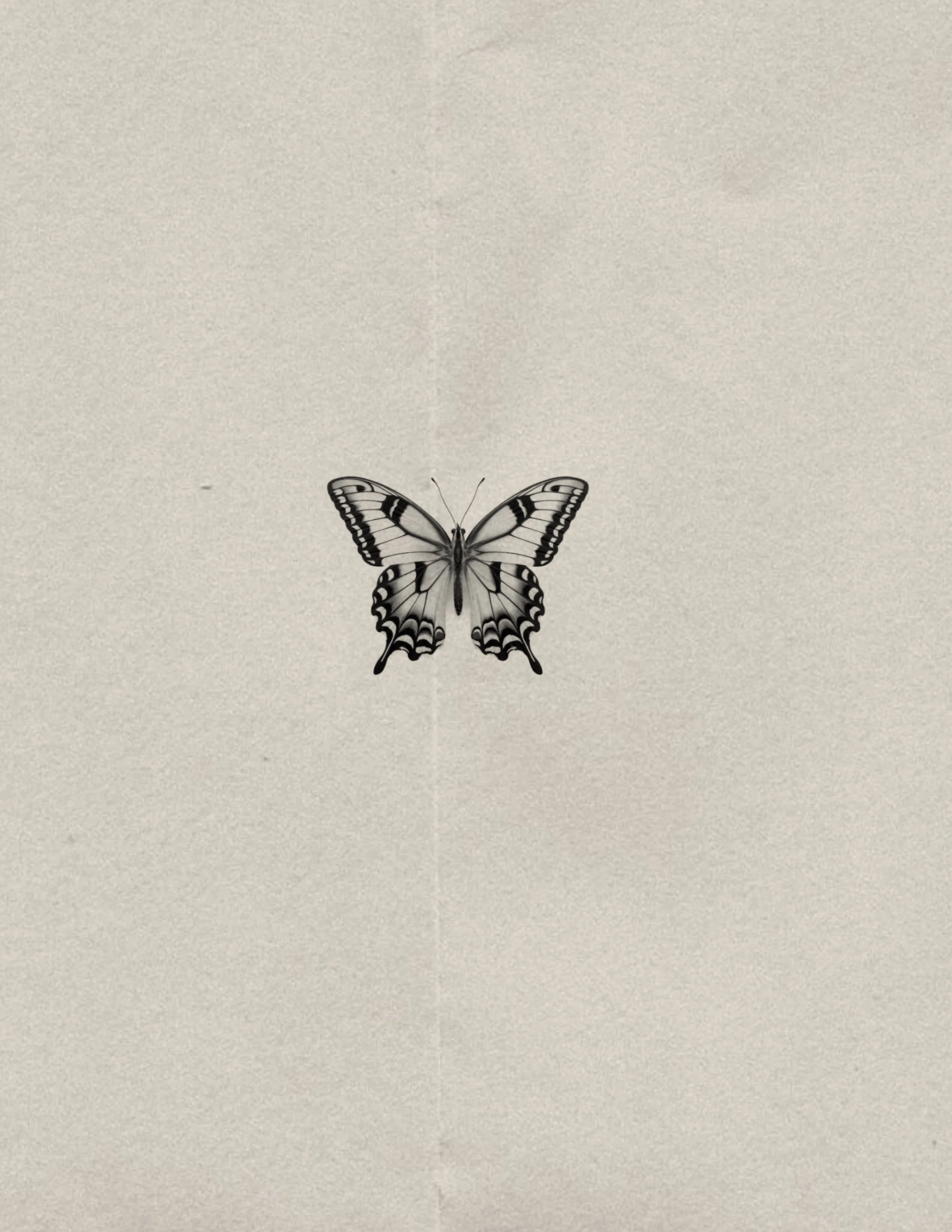 Untitled_Artwork 563.jpg