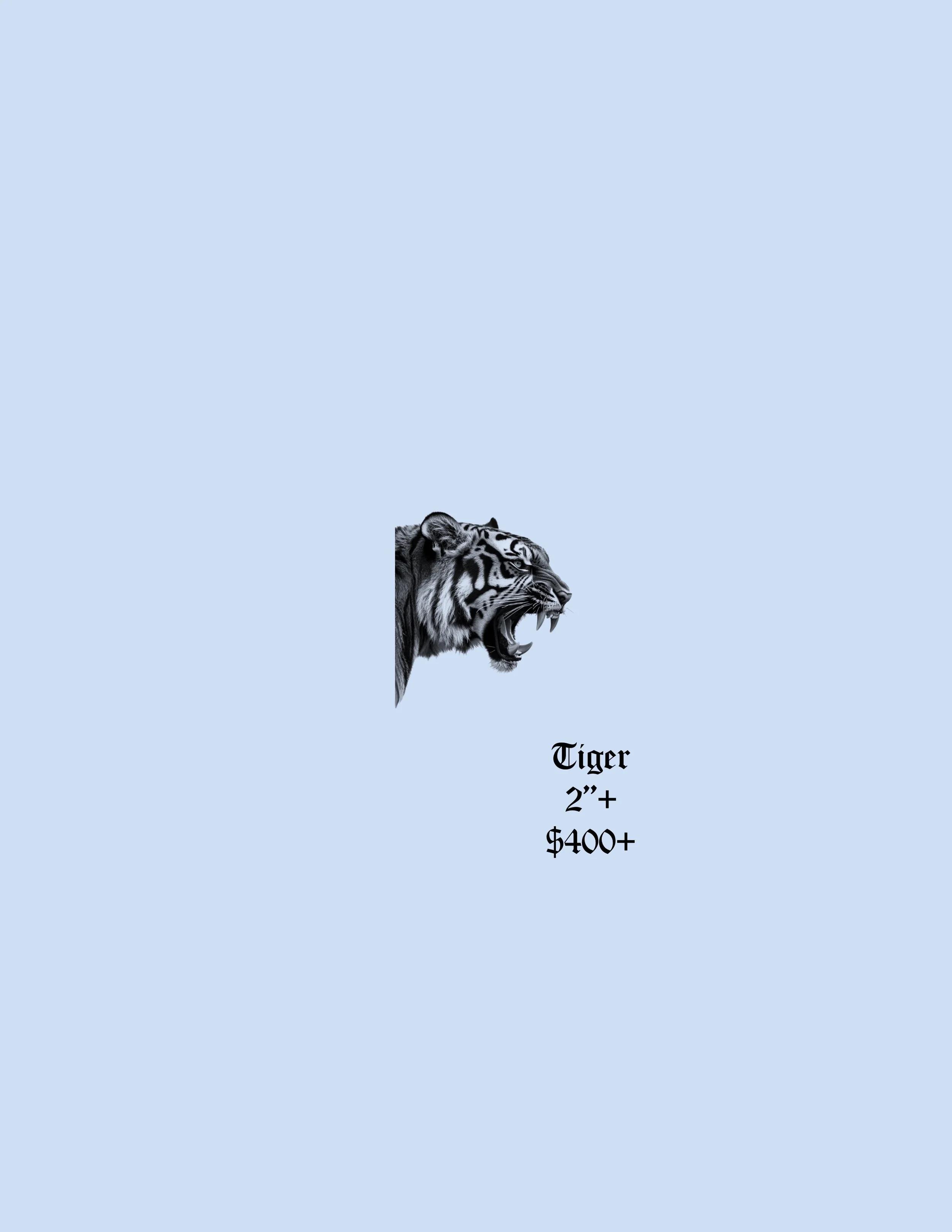 Tiger | Hot Stuff Flash