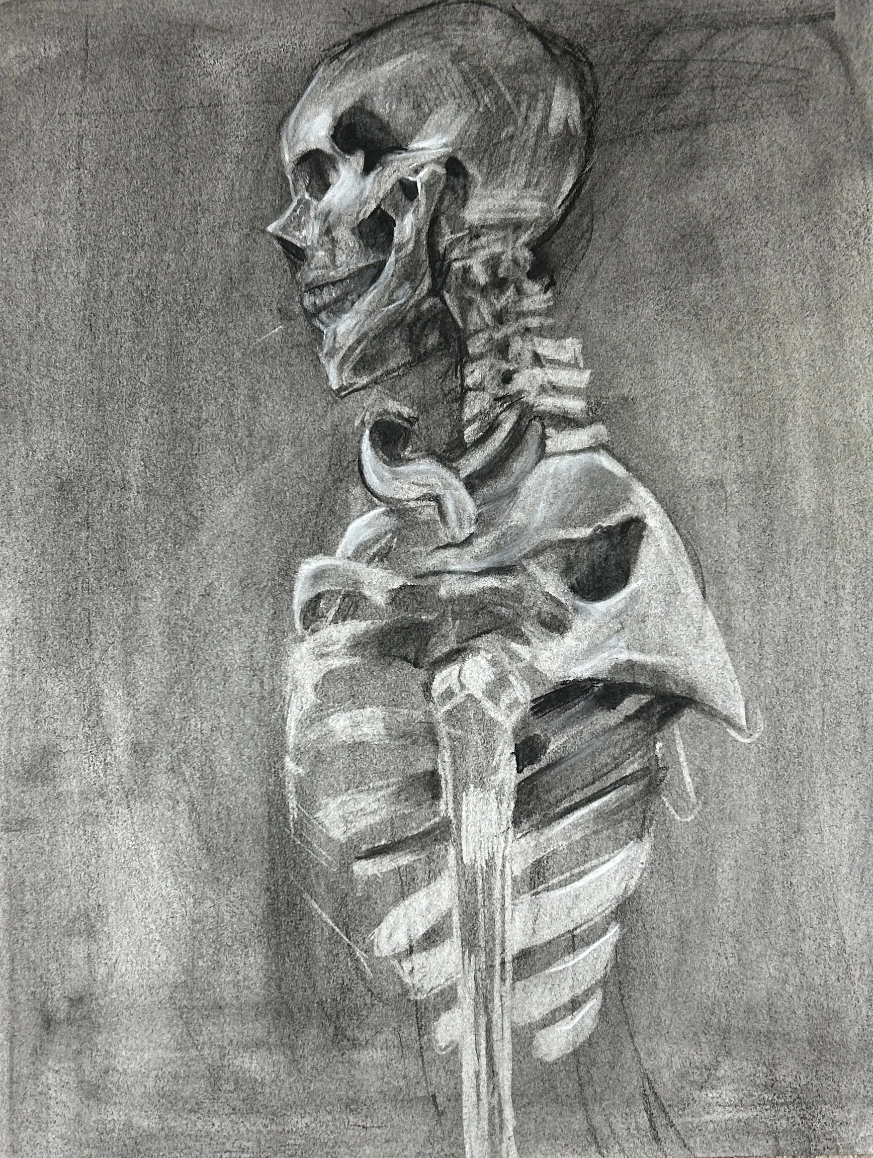 IMG_7392 - Alexandra Fiala (1).jpg