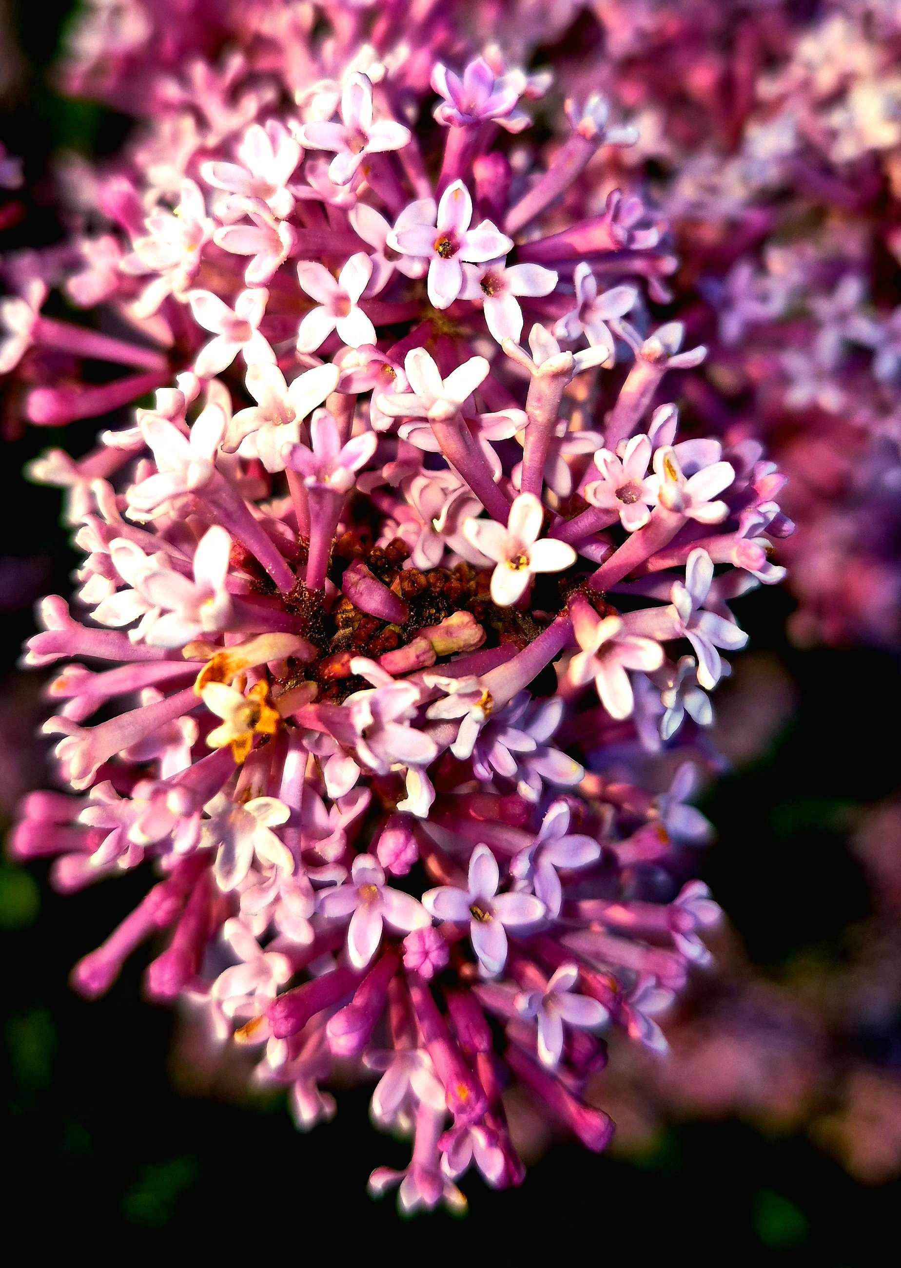 20250508_072947 - Blake Haggerty.jpg