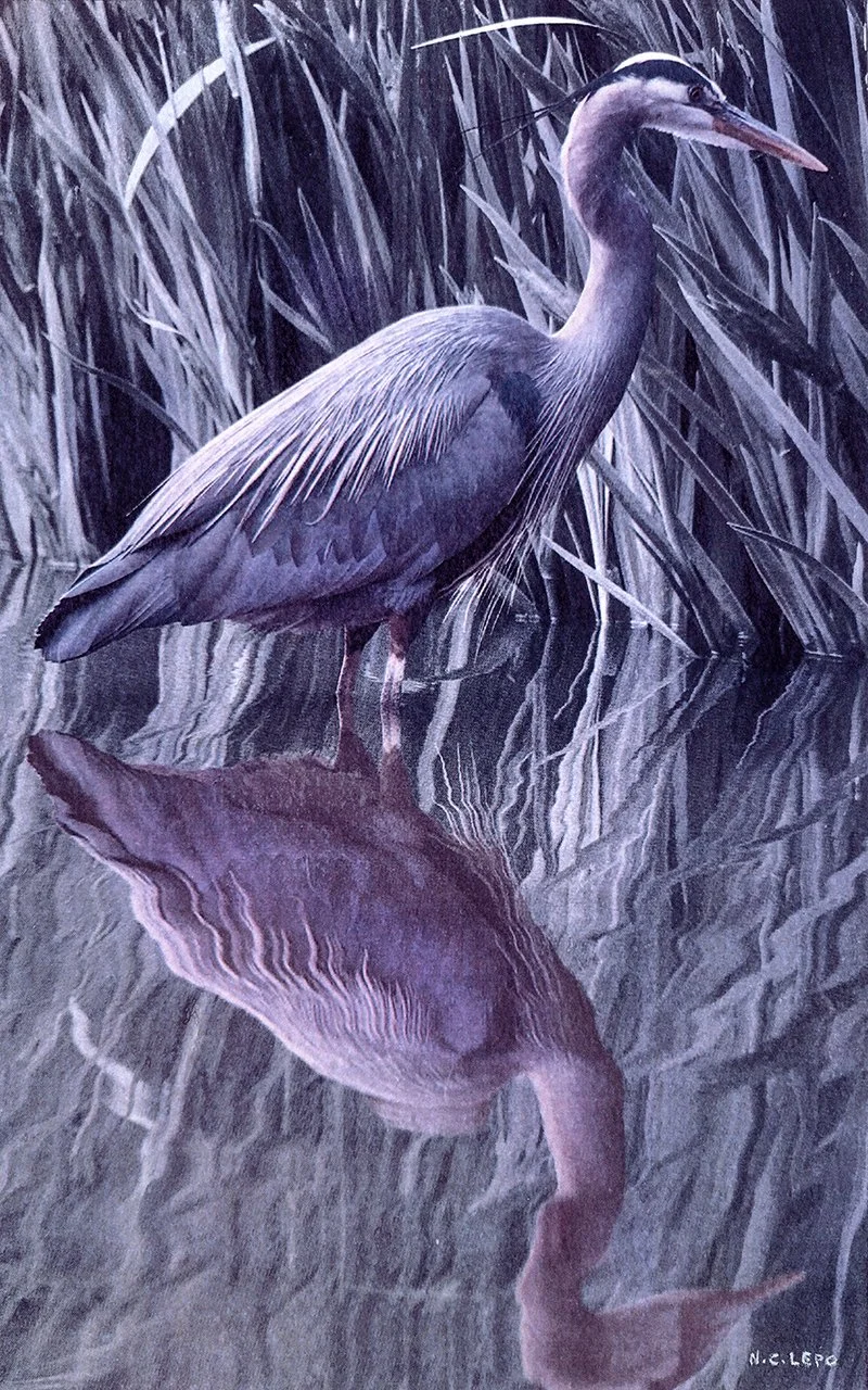 N_Lepo_Resting_$1100 (2).jpg