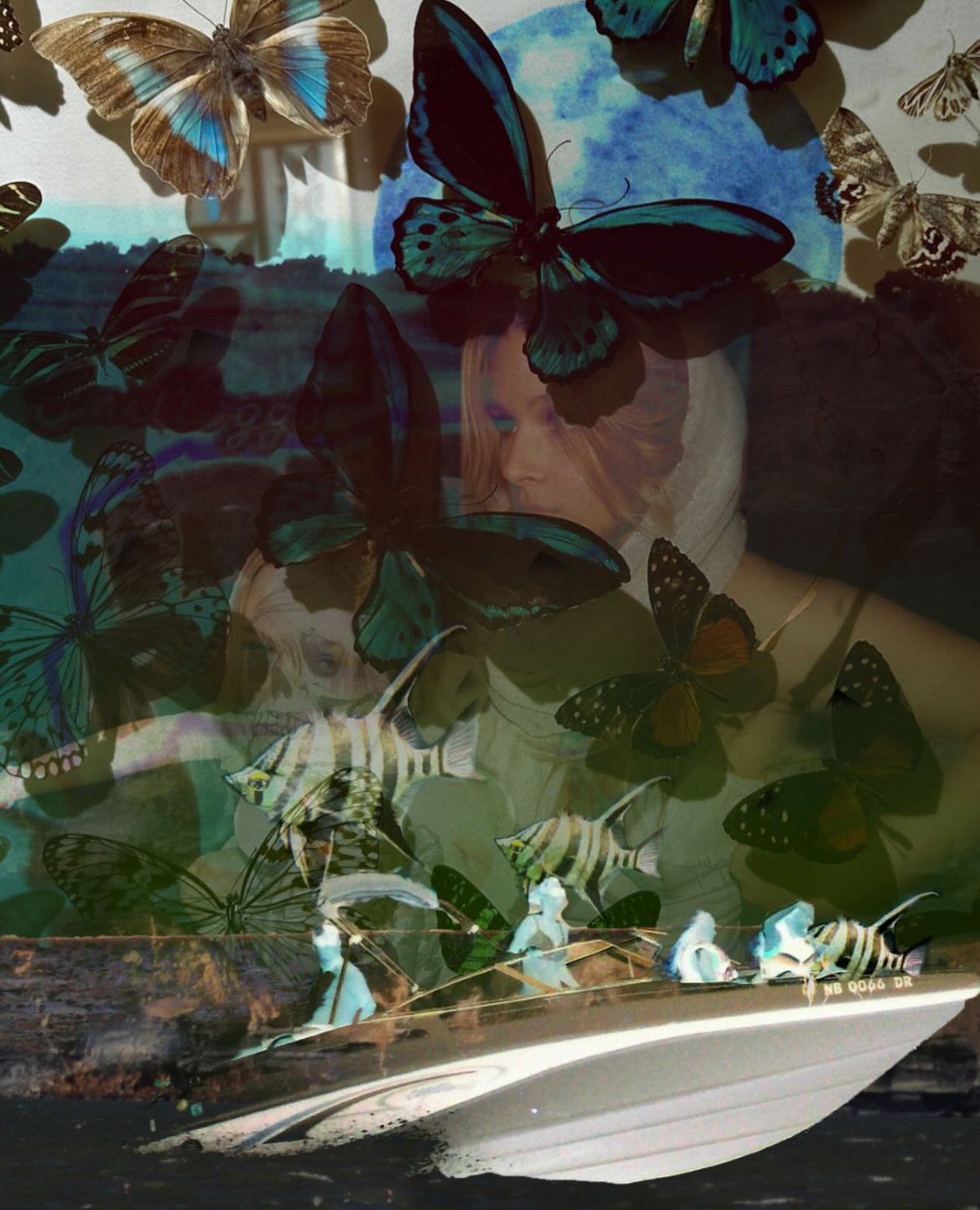 KaraWalters.SD.70 - kara walters.jpg