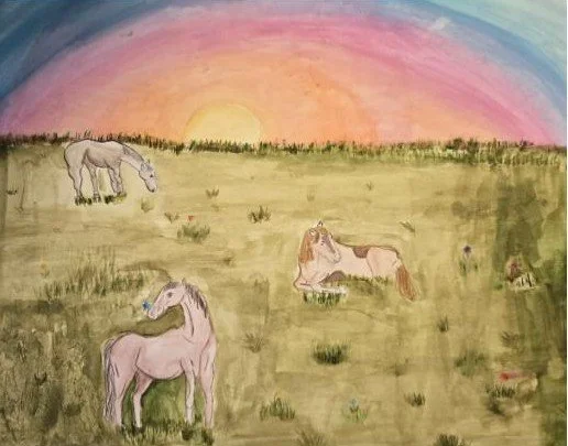 Sunset Meadows