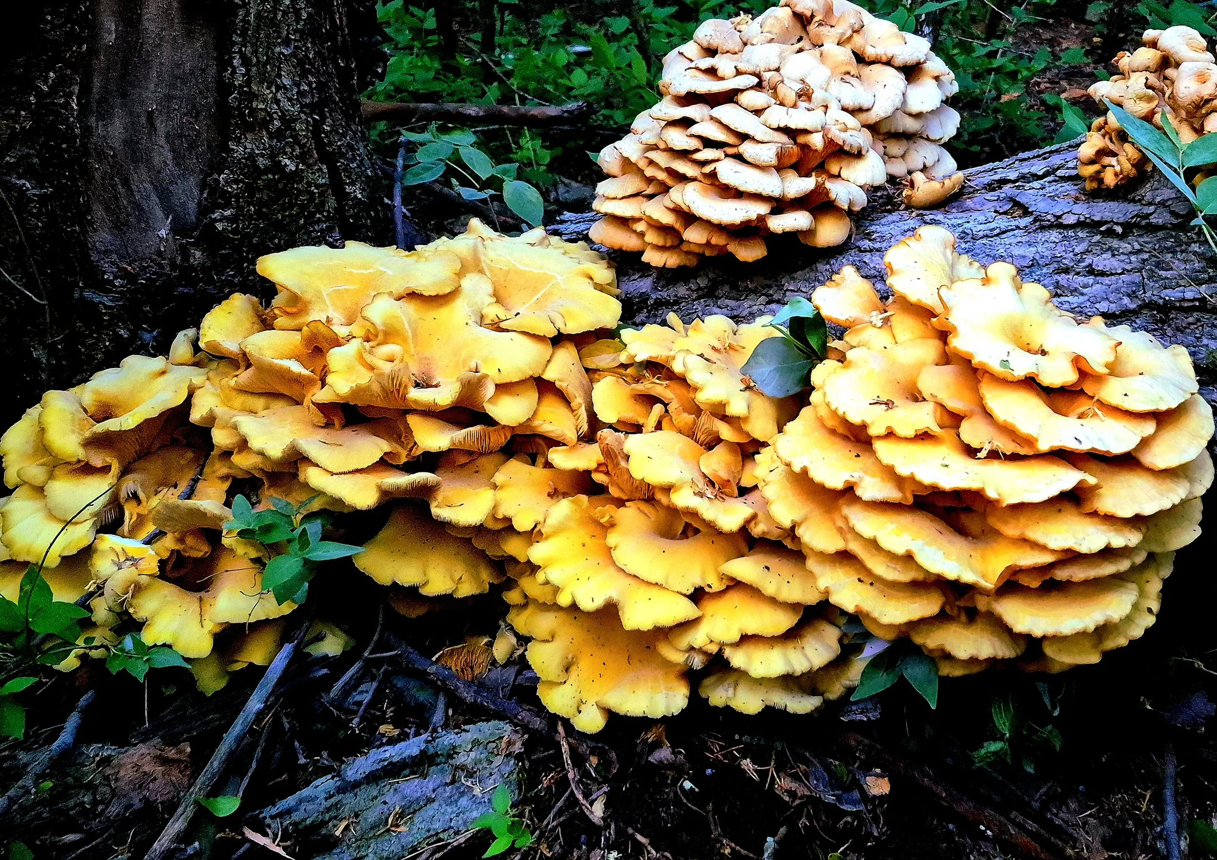 20250522_202345(1) - Blake Haggerty.jpg