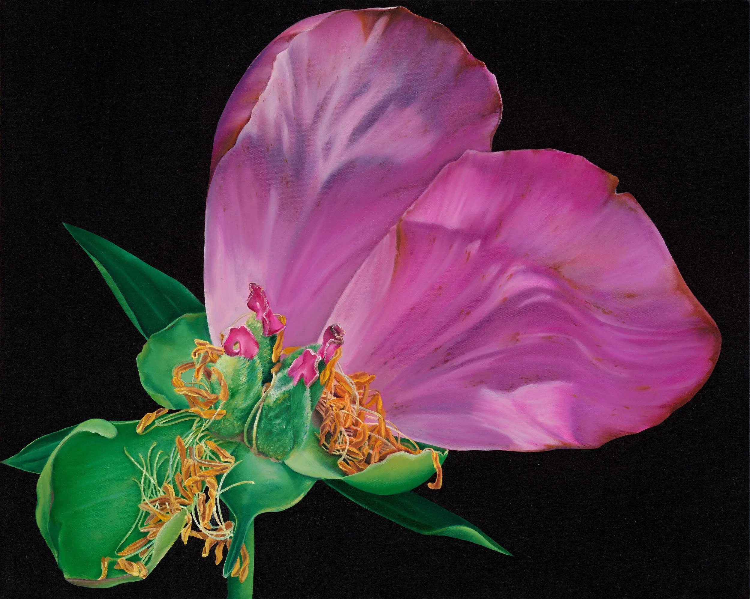 Quinn_FleetingSplendor (1).jpg