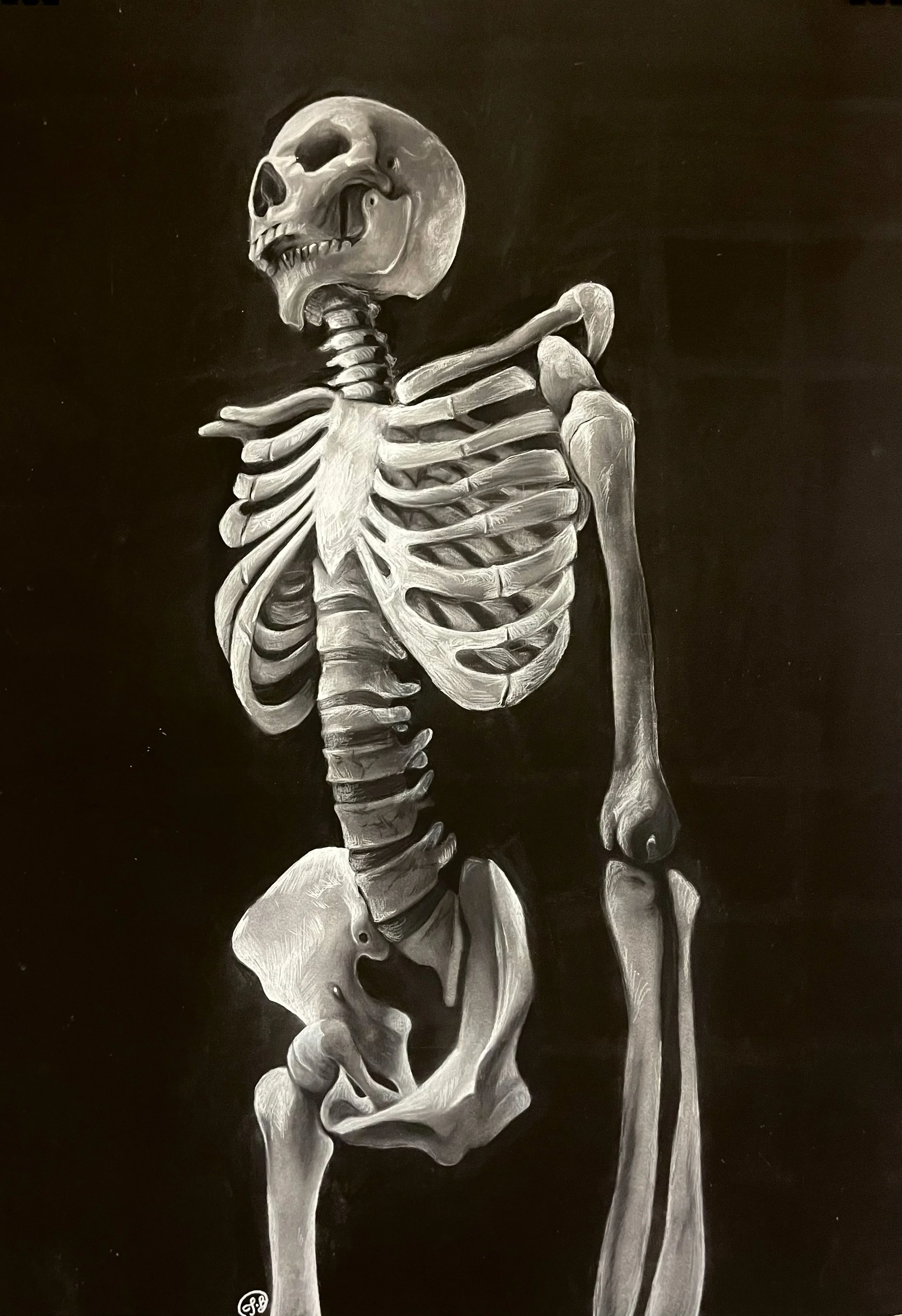 IMG_0661 - Isabella Brooking (1).jpg