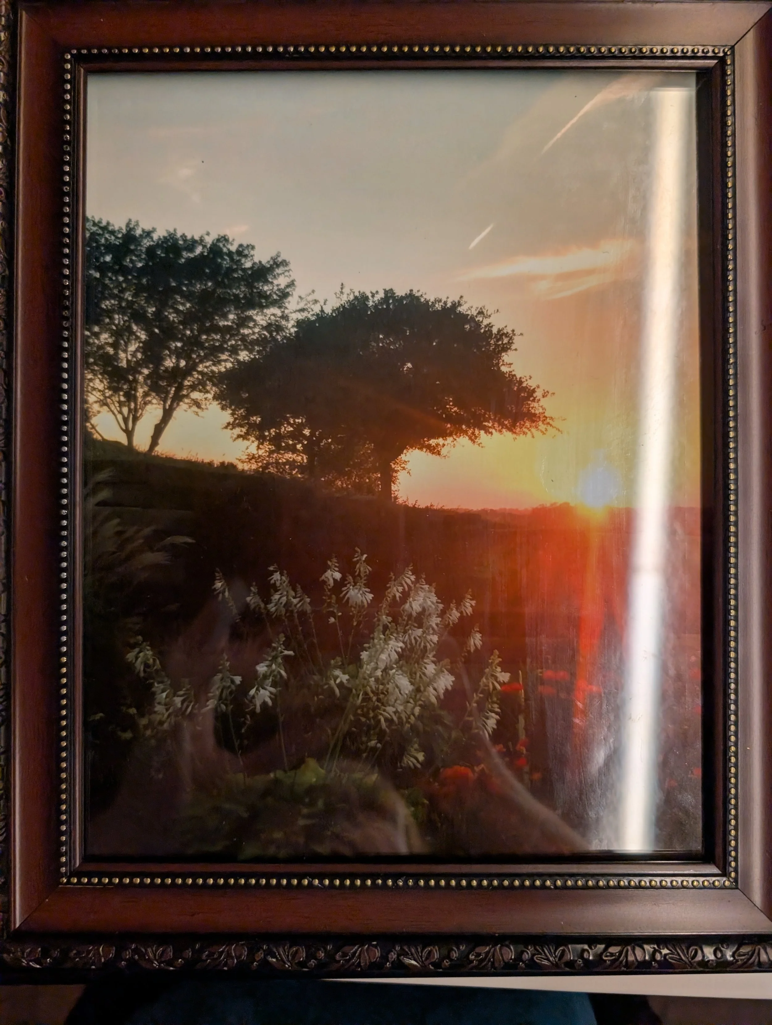 Sunet in the Garden
