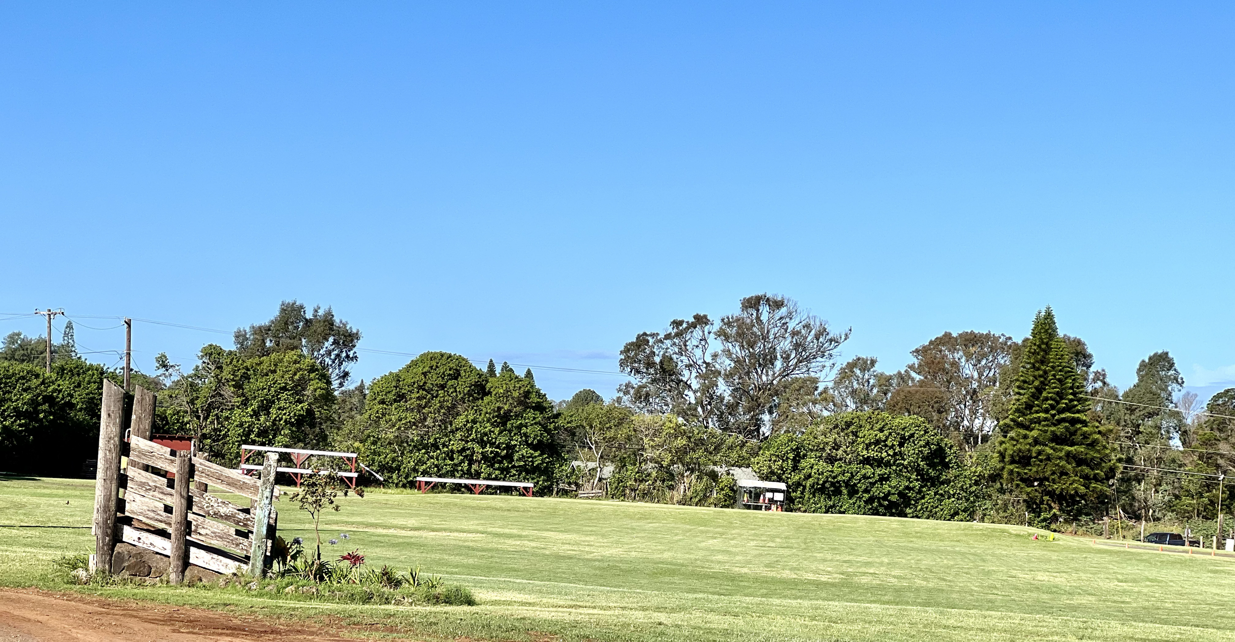 Courtyard/Field