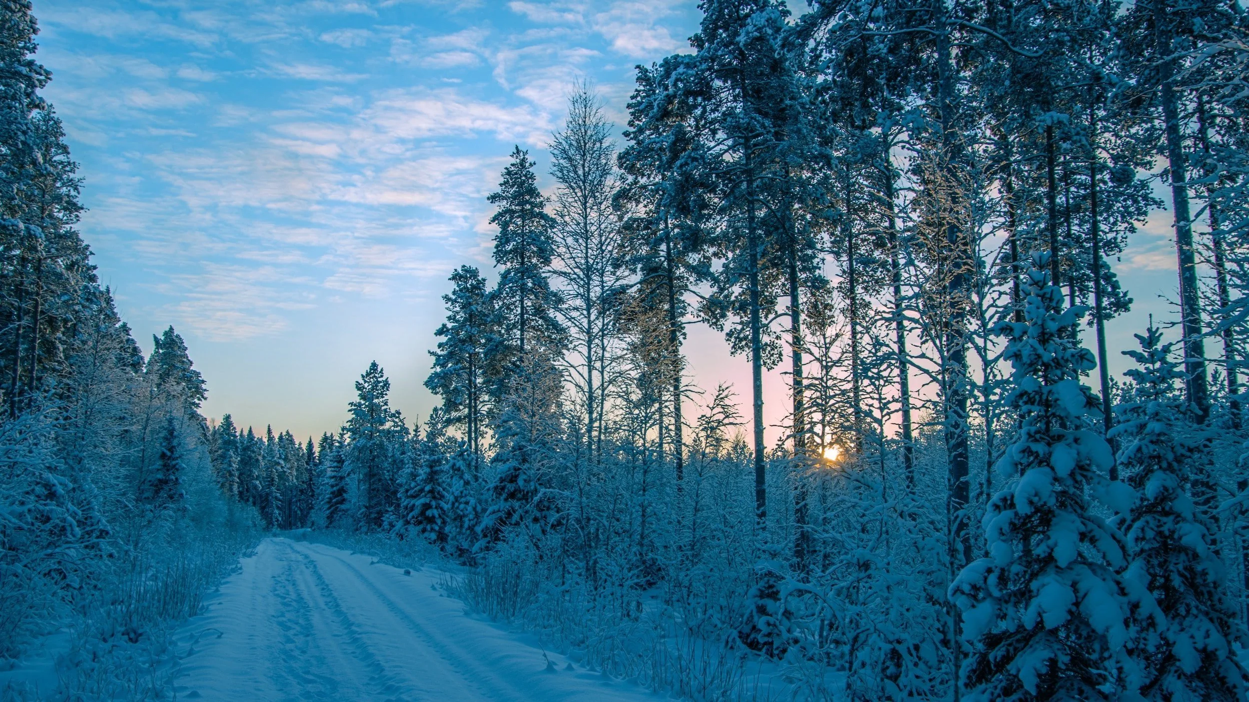 Winter Solstice, A Return to the Light