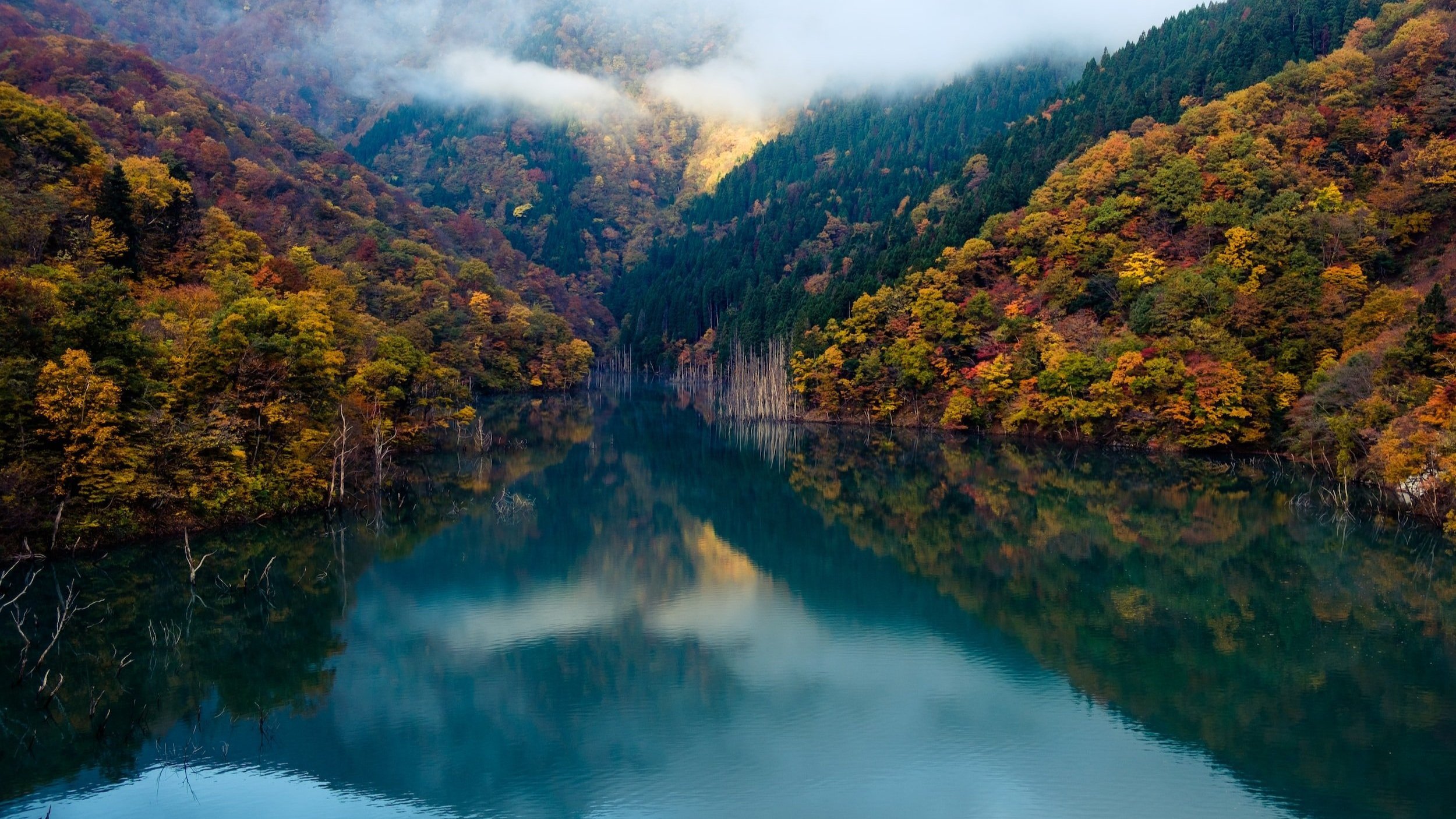 Autumn Energy = Metal = Self Reflection