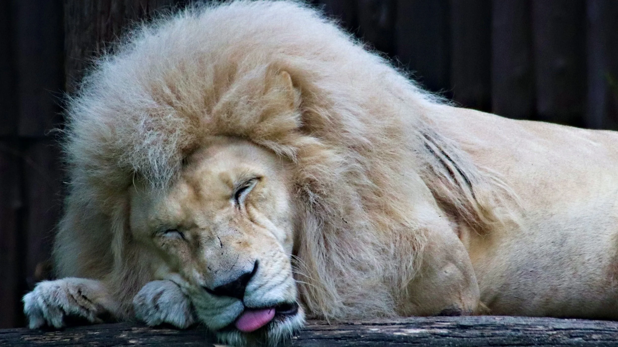 Acupuncture for Insomnia