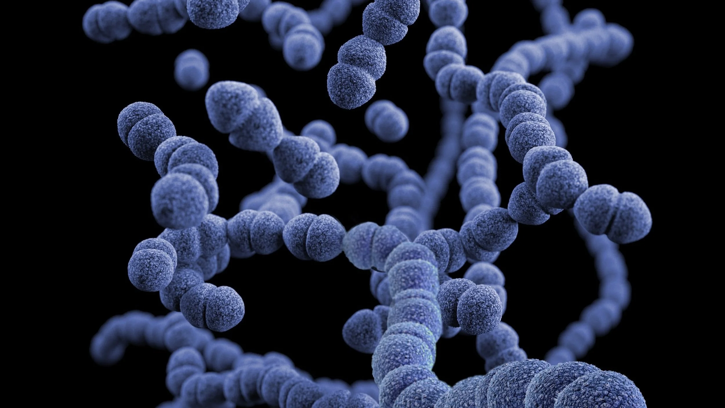 Mental health, the microbiome and antibiotic use
