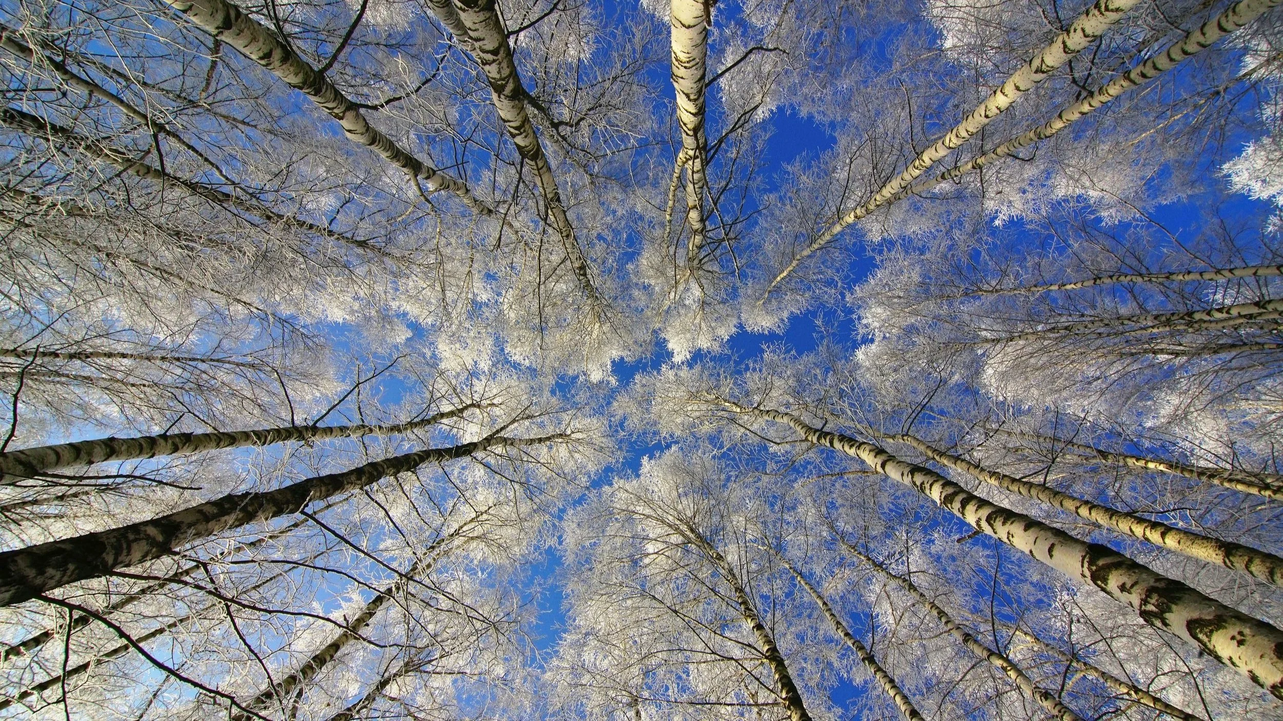 Why joints hurt when it's cold